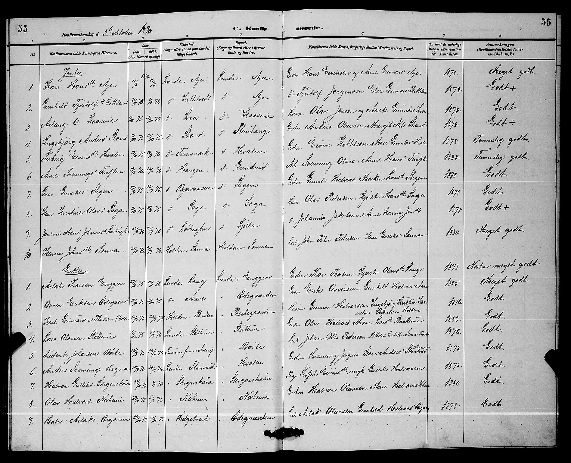 Lunde kirkebøker, SAKO/A-282/G/Ga/L0002: Parish register (copy) no. I 2, 1887-1896, p. 55