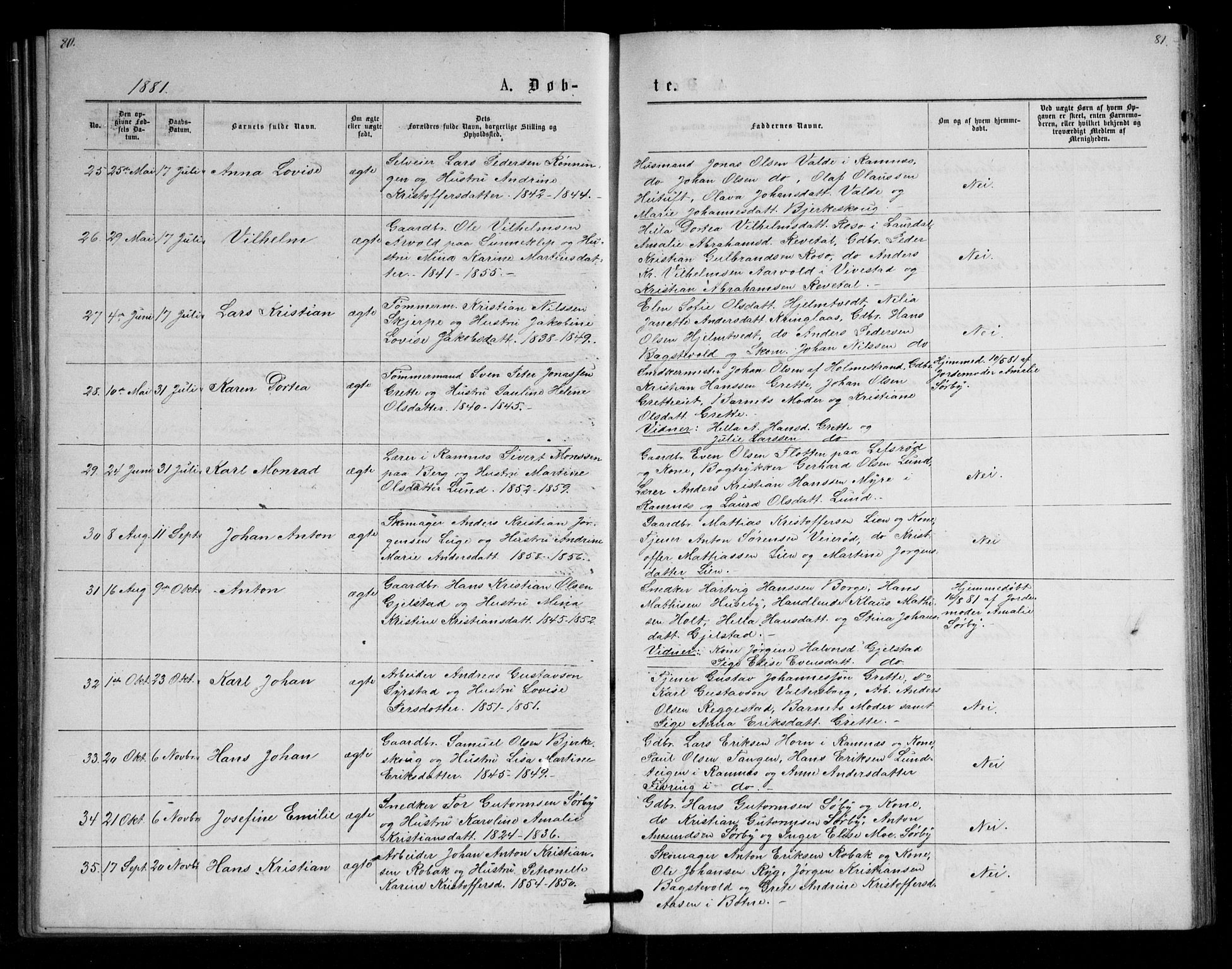 Våle kirkebøker, AV/SAKO-A-334/G/Ga/L0004a: Parish register (copy) no. I 4, 1874-1893, p. 80-81