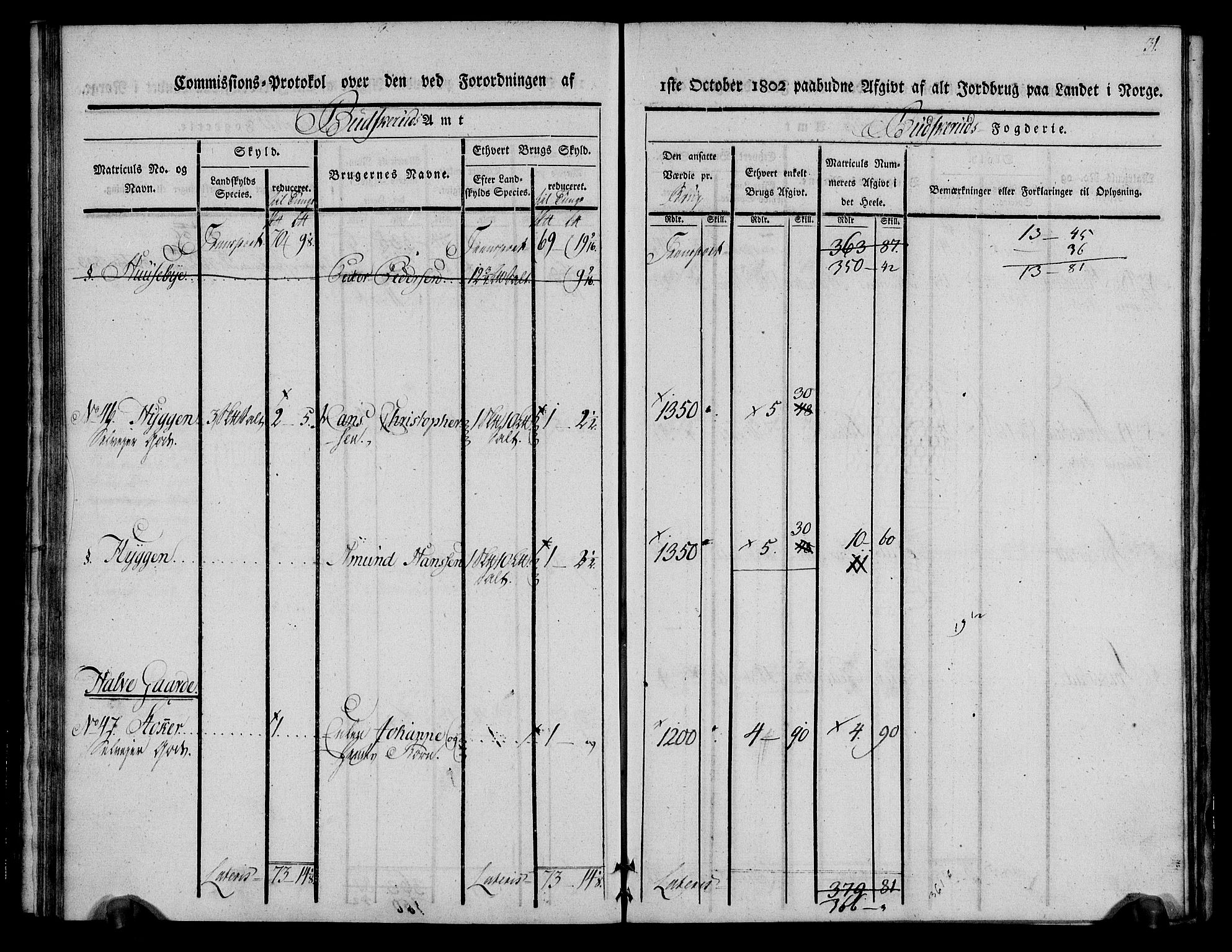 Rentekammeret inntil 1814, Realistisk ordnet avdeling, AV/RA-EA-4070/N/Ne/Nea/L0062: Buskerud fogderi. Kommisjonsprotokoll for Røyken prestegjeld, 1803, p. 31