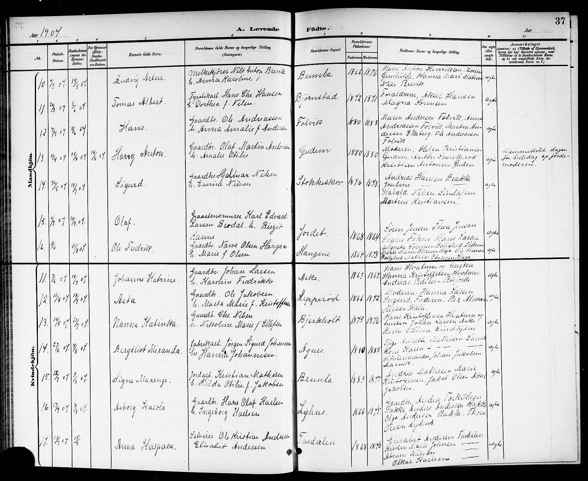 Brunlanes kirkebøker, AV/SAKO-A-342/G/Ga/L0004: Parish register (copy) no. I 4, 1898-1921, p. 37
