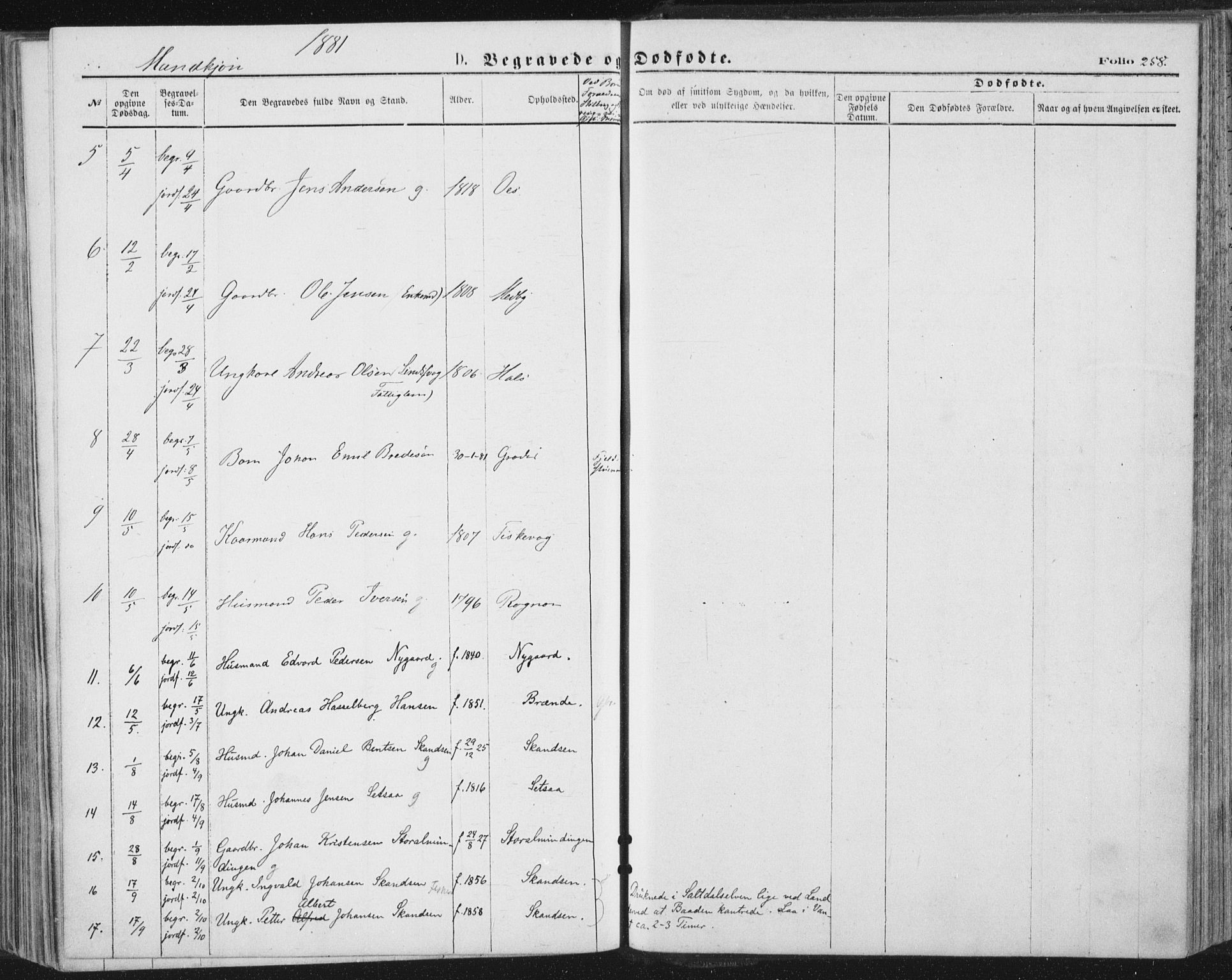 Ministerialprotokoller, klokkerbøker og fødselsregistre - Nordland, SAT/A-1459/847/L0668: Parish register (official) no. 847A08, 1872-1886, p. 258