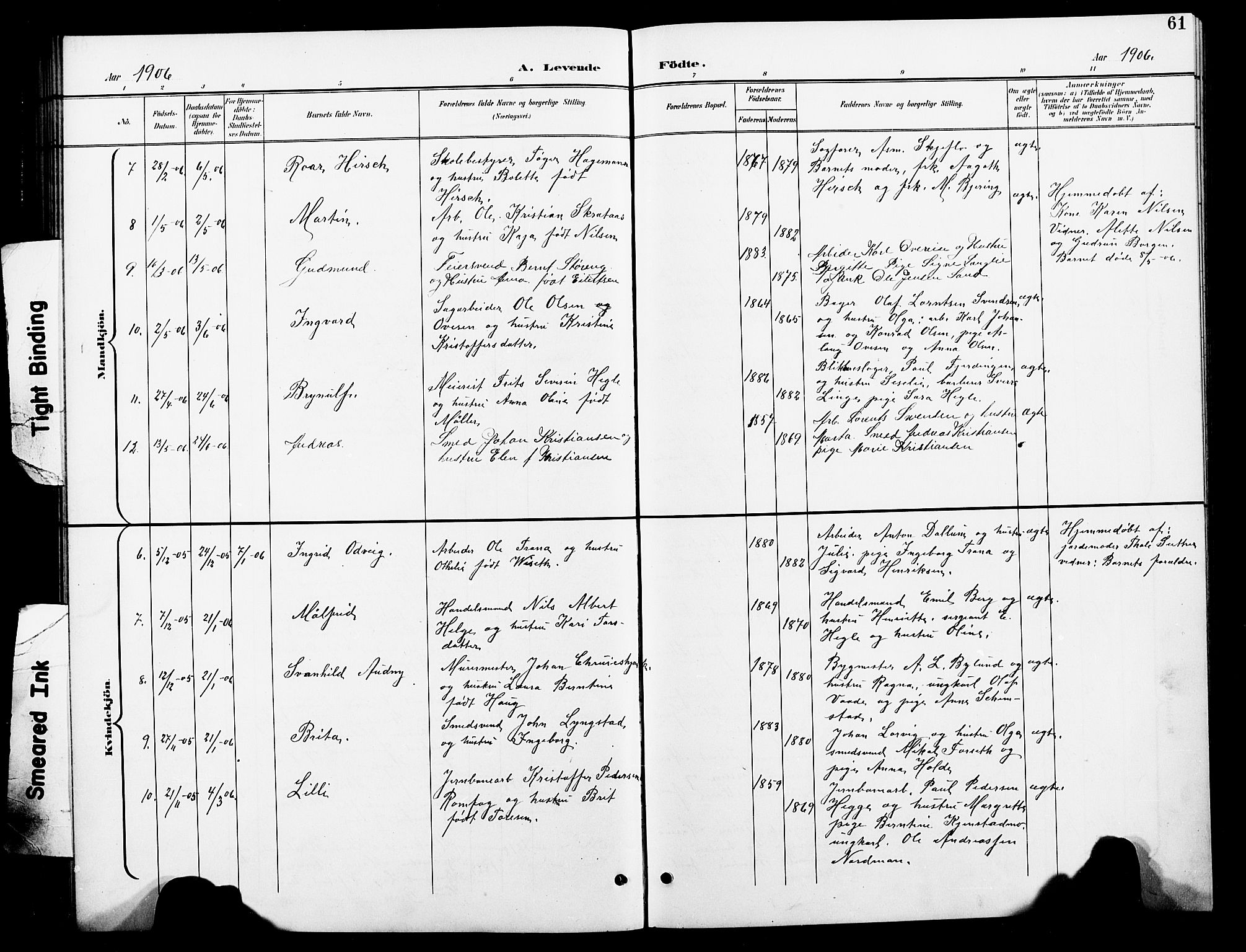 Ministerialprotokoller, klokkerbøker og fødselsregistre - Nord-Trøndelag, SAT/A-1458/739/L0375: Parish register (copy) no. 739C03, 1898-1908, p. 61