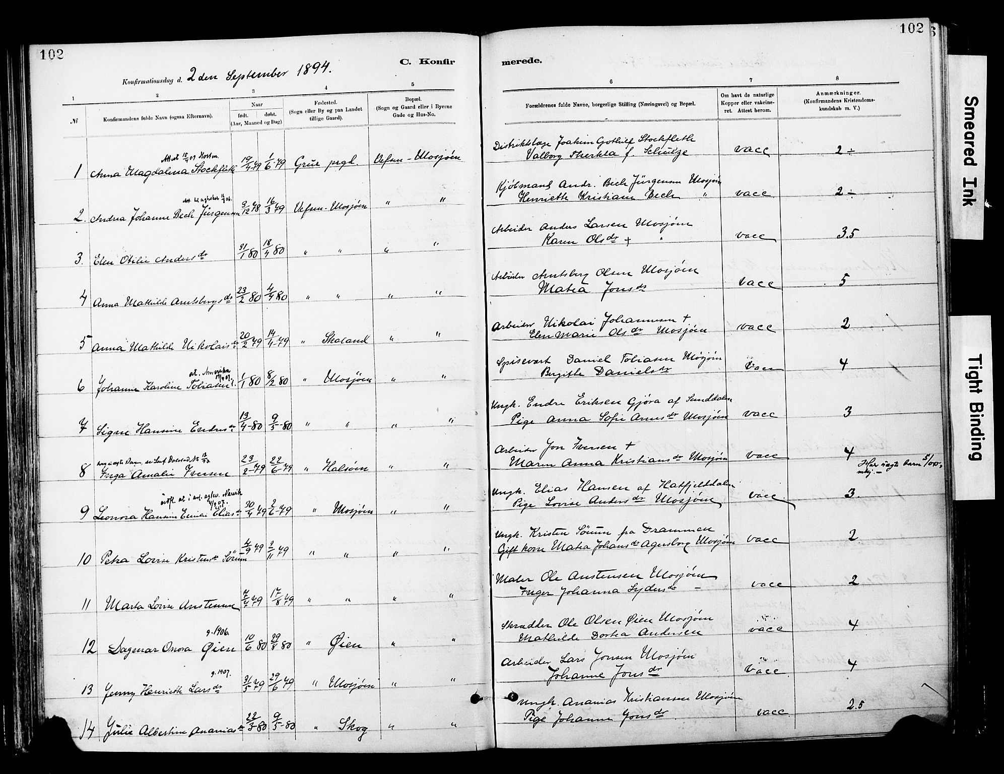 Ministerialprotokoller, klokkerbøker og fødselsregistre - Nordland, AV/SAT-A-1459/820/L0296: Parish register (official) no. 820A17, 1880-1903, p. 102