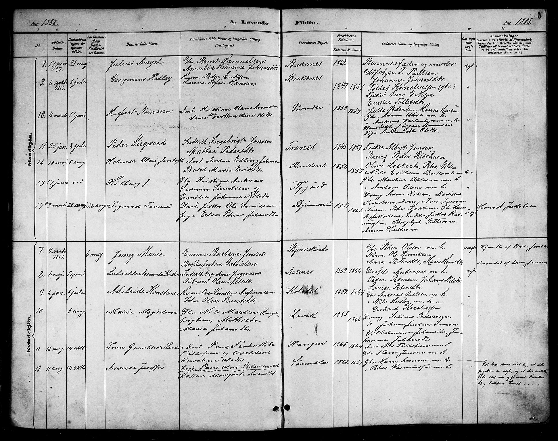 Ministerialprotokoller, klokkerbøker og fødselsregistre - Nordland, AV/SAT-A-1459/898/L1427: Parish register (copy) no. 898C02, 1887-1917, p. 5