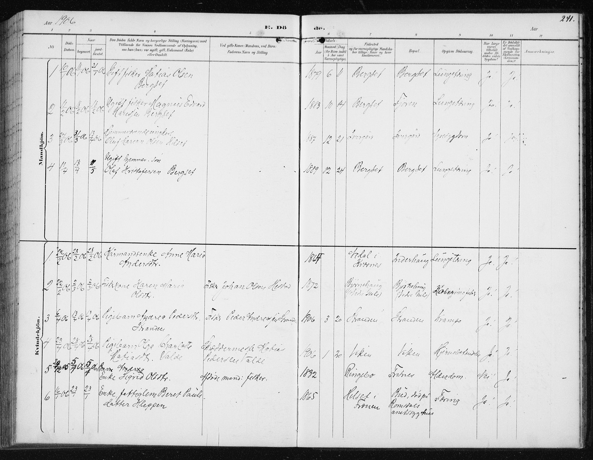 Ministerialprotokoller, klokkerbøker og fødselsregistre - Møre og Romsdal, AV/SAT-A-1454/566/L0773: Parish register (copy) no. 566C02, 1892-1909, p. 241