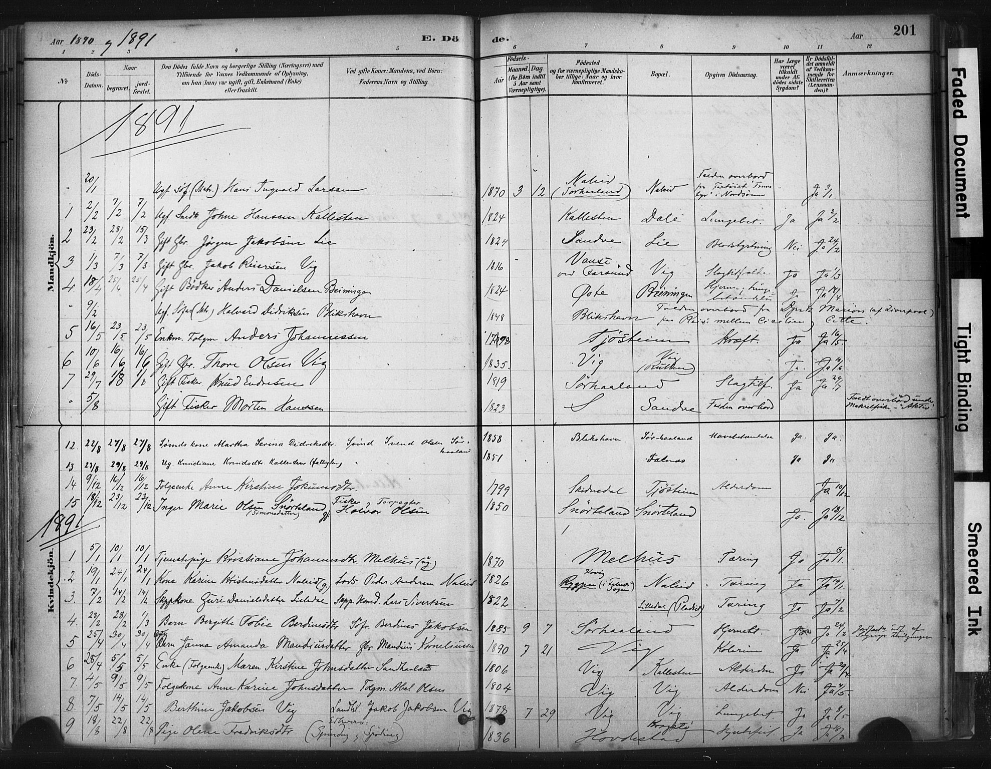 Skudenes sokneprestkontor, SAST/A -101849/H/Ha/Haa/L0009: Parish register (official) no. A 6, 1882-1912, p. 201