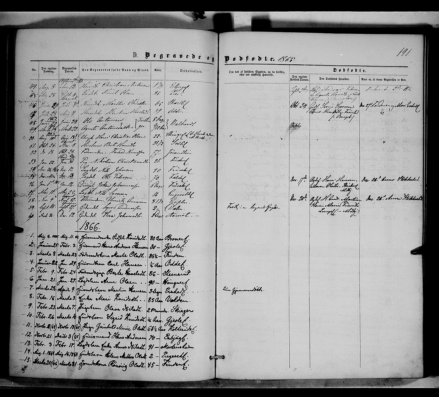 Nordre Land prestekontor, SAH/PREST-124/H/Ha/Haa/L0001: Parish register (official) no. 1, 1860-1871, p. 191
