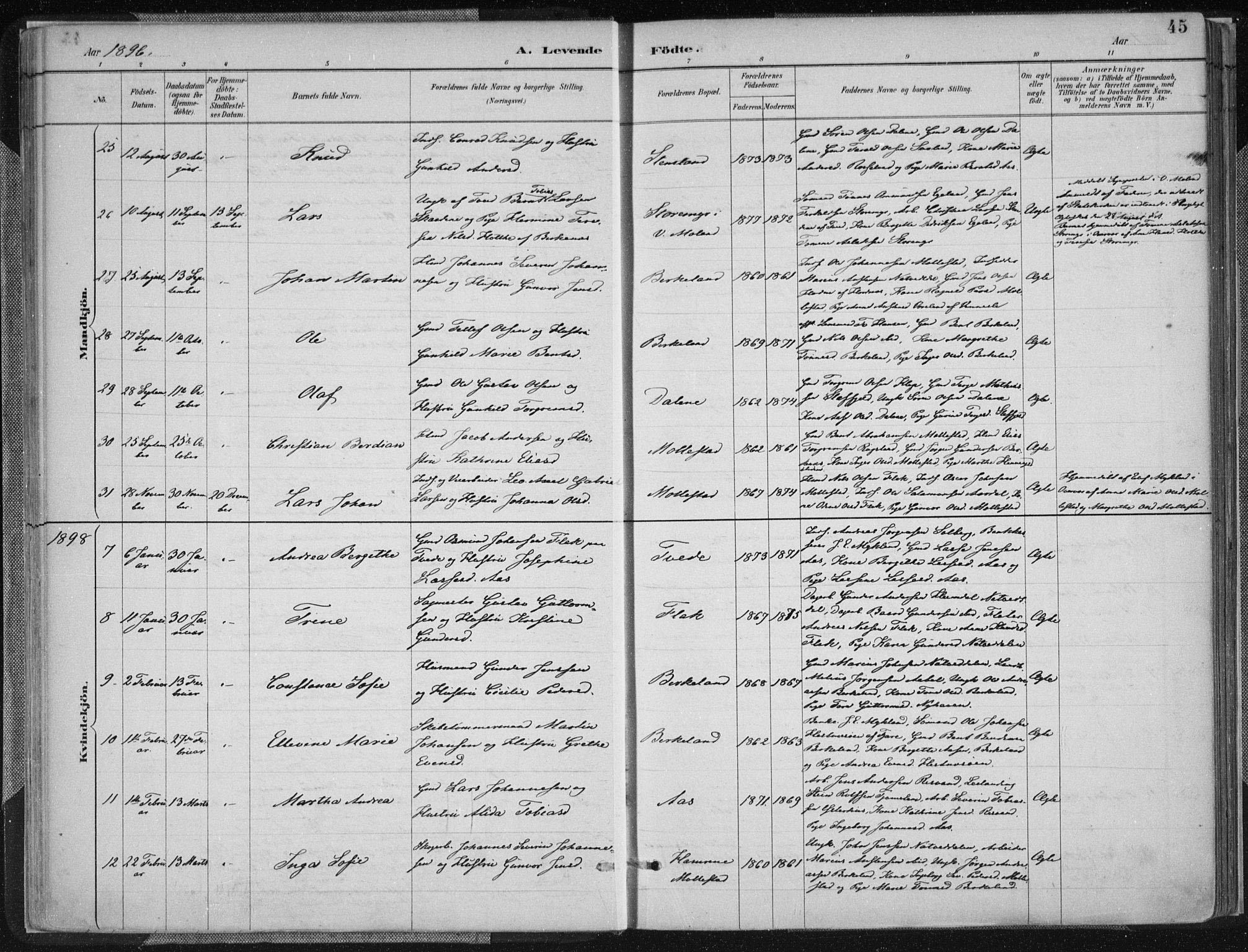 Birkenes sokneprestkontor, AV/SAK-1111-0004/F/Fa/L0005: Parish register (official) no. A 5, 1887-1907, p. 45