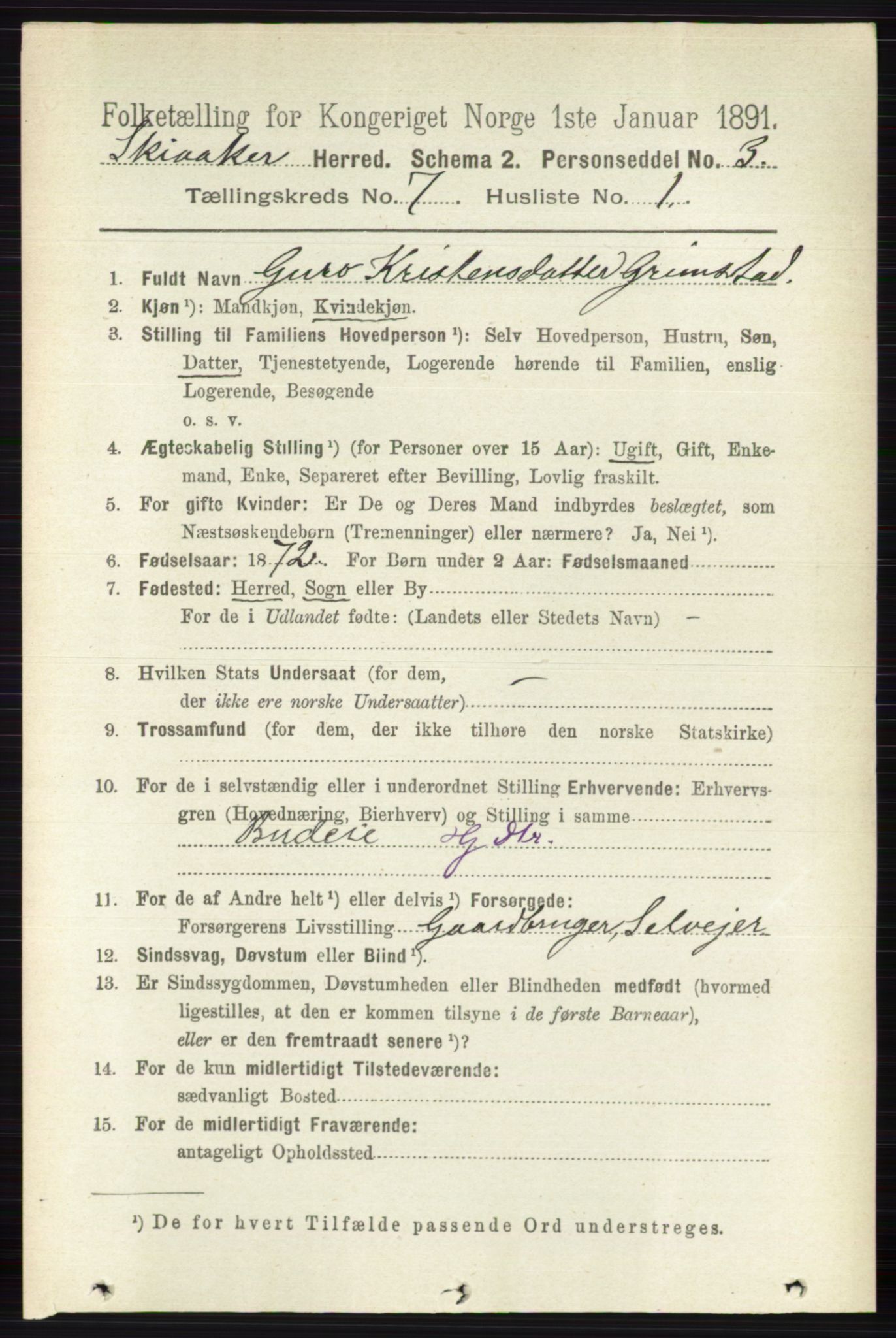 RA, 1891 census for 0513 Skjåk, 1891, p. 2295