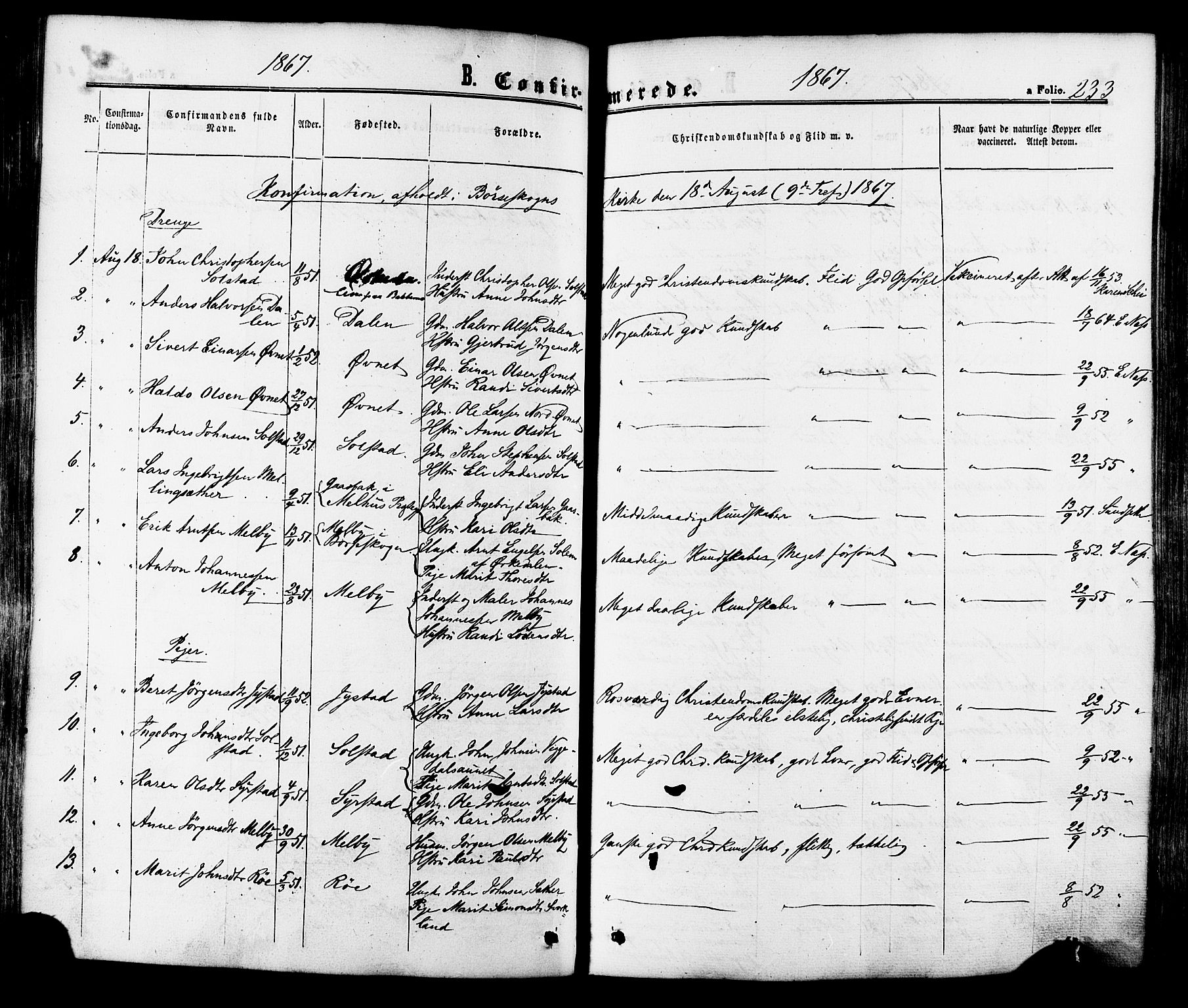 Ministerialprotokoller, klokkerbøker og fødselsregistre - Sør-Trøndelag, SAT/A-1456/665/L0772: Parish register (official) no. 665A07, 1856-1878, p. 233