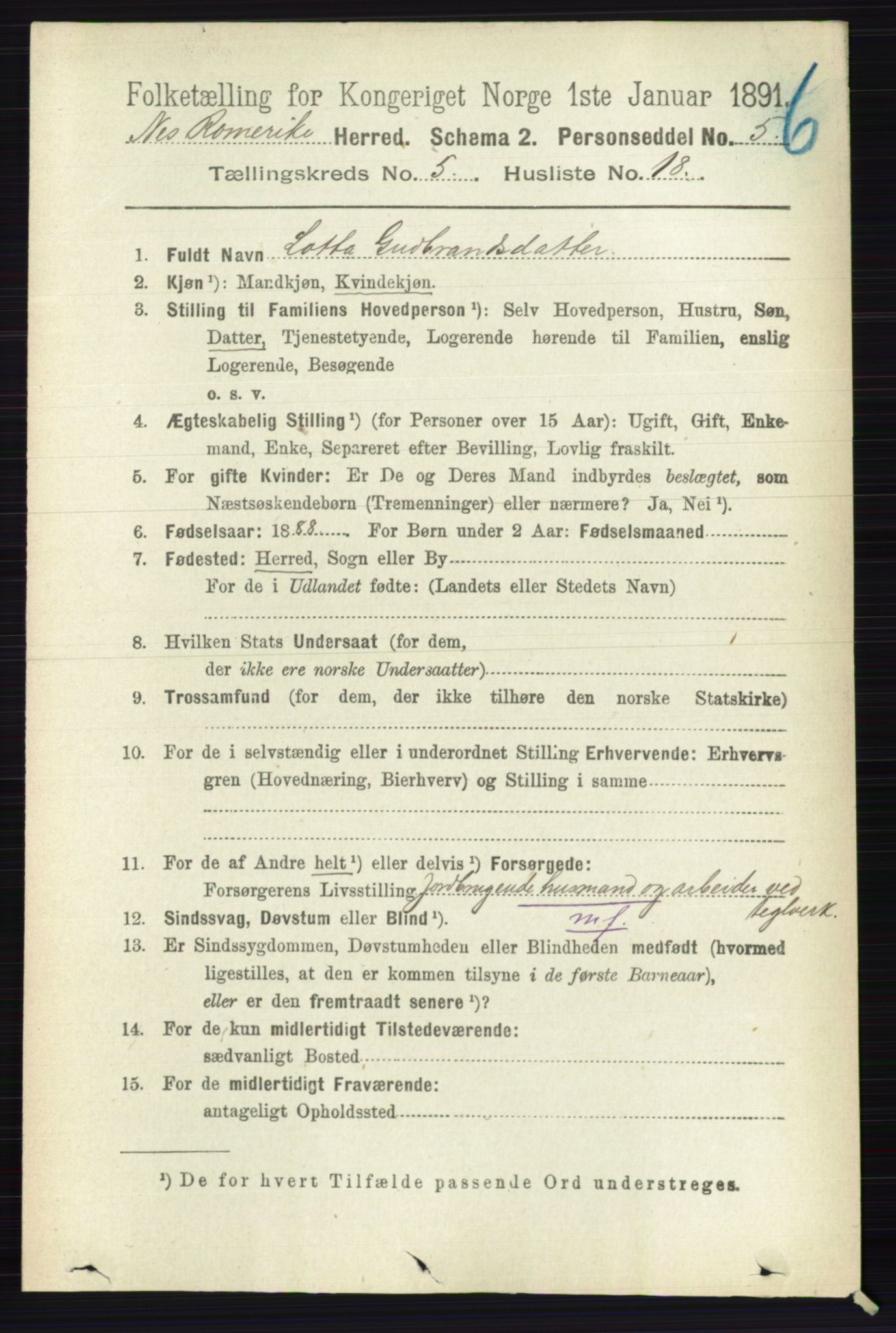 RA, 1891 census for 0236 Nes, 1891, p. 2893