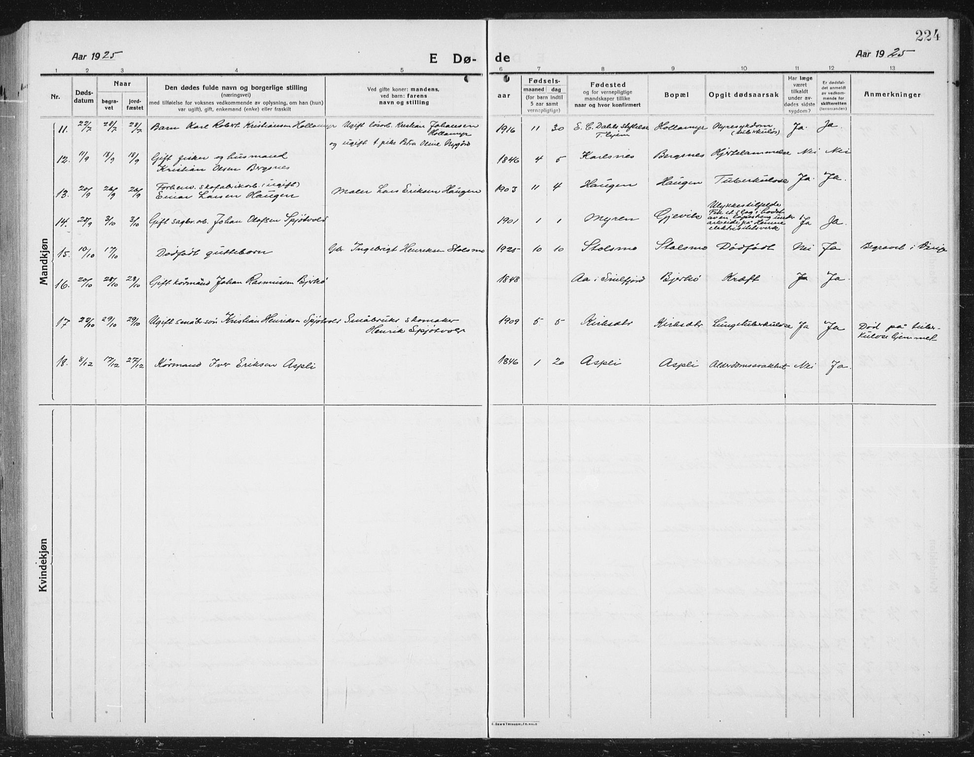 Ministerialprotokoller, klokkerbøker og fødselsregistre - Sør-Trøndelag, SAT/A-1456/630/L0506: Parish register (copy) no. 630C04, 1914-1933, p. 224