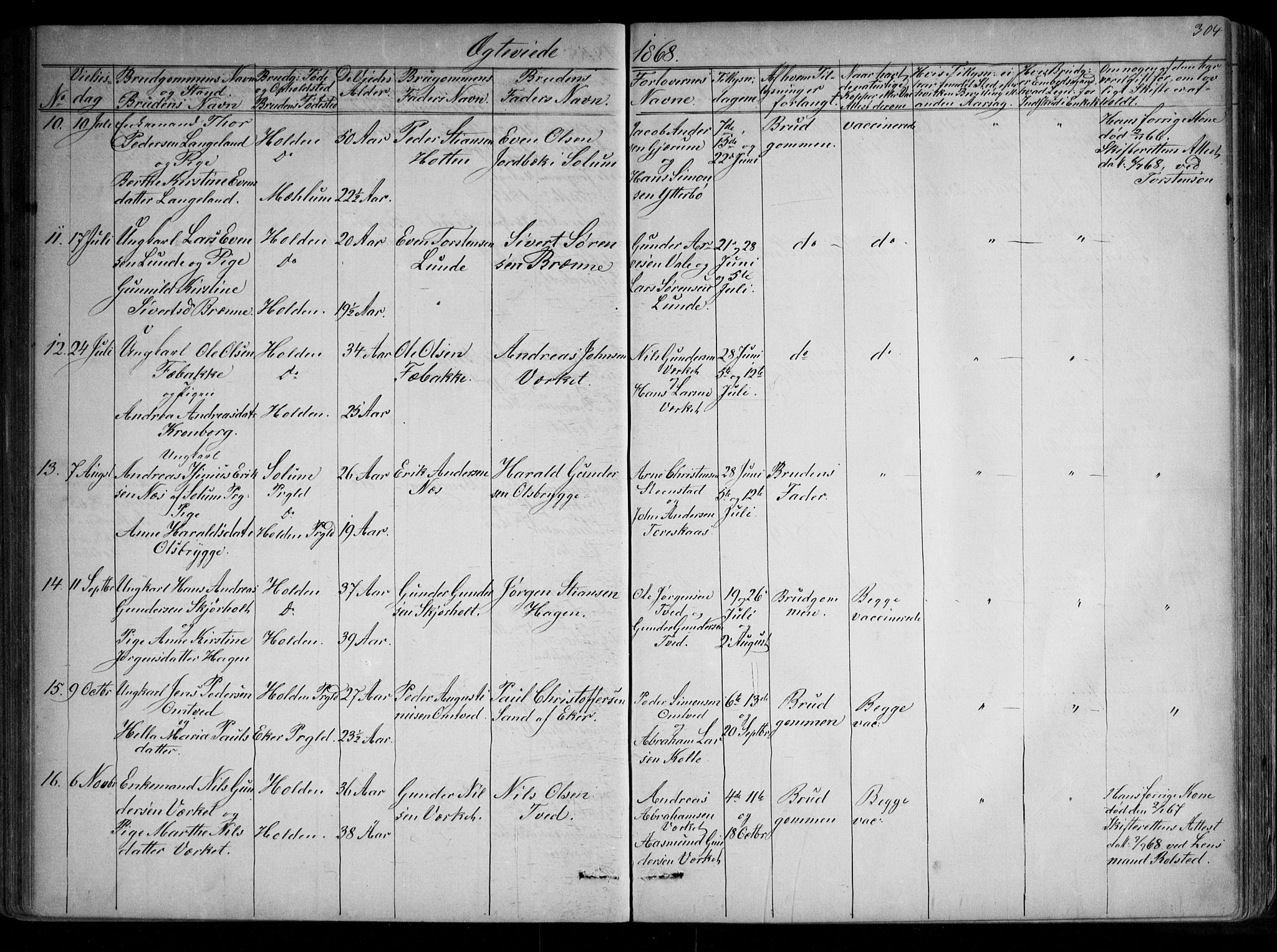 Holla kirkebøker, AV/SAKO-A-272/G/Ga/L0004: Parish register (copy) no. I 4, 1867-1890, p. 304