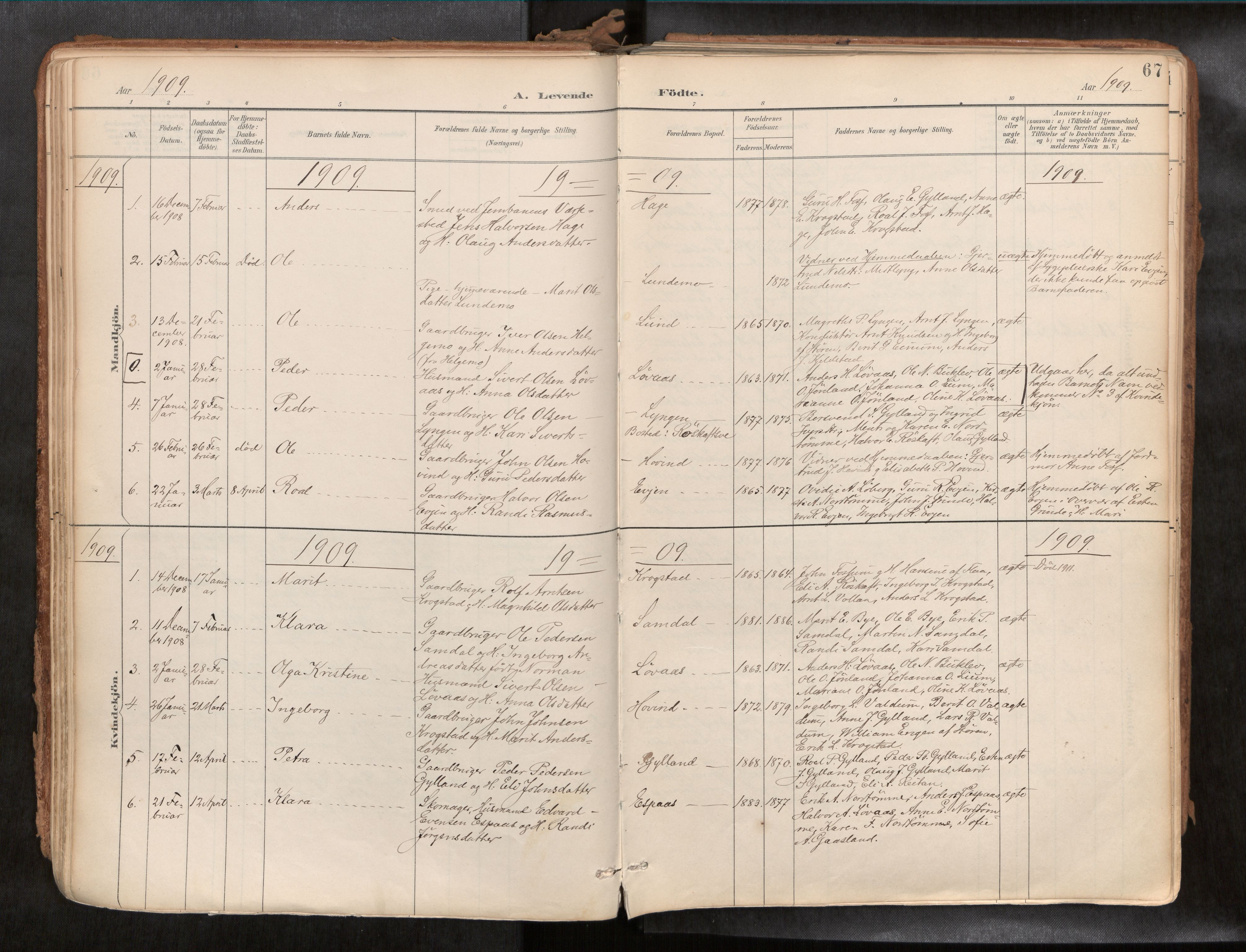 Ministerialprotokoller, klokkerbøker og fødselsregistre - Sør-Trøndelag, SAT/A-1456/692/L1105b: Parish register (official) no. 692A06, 1891-1934, p. 67