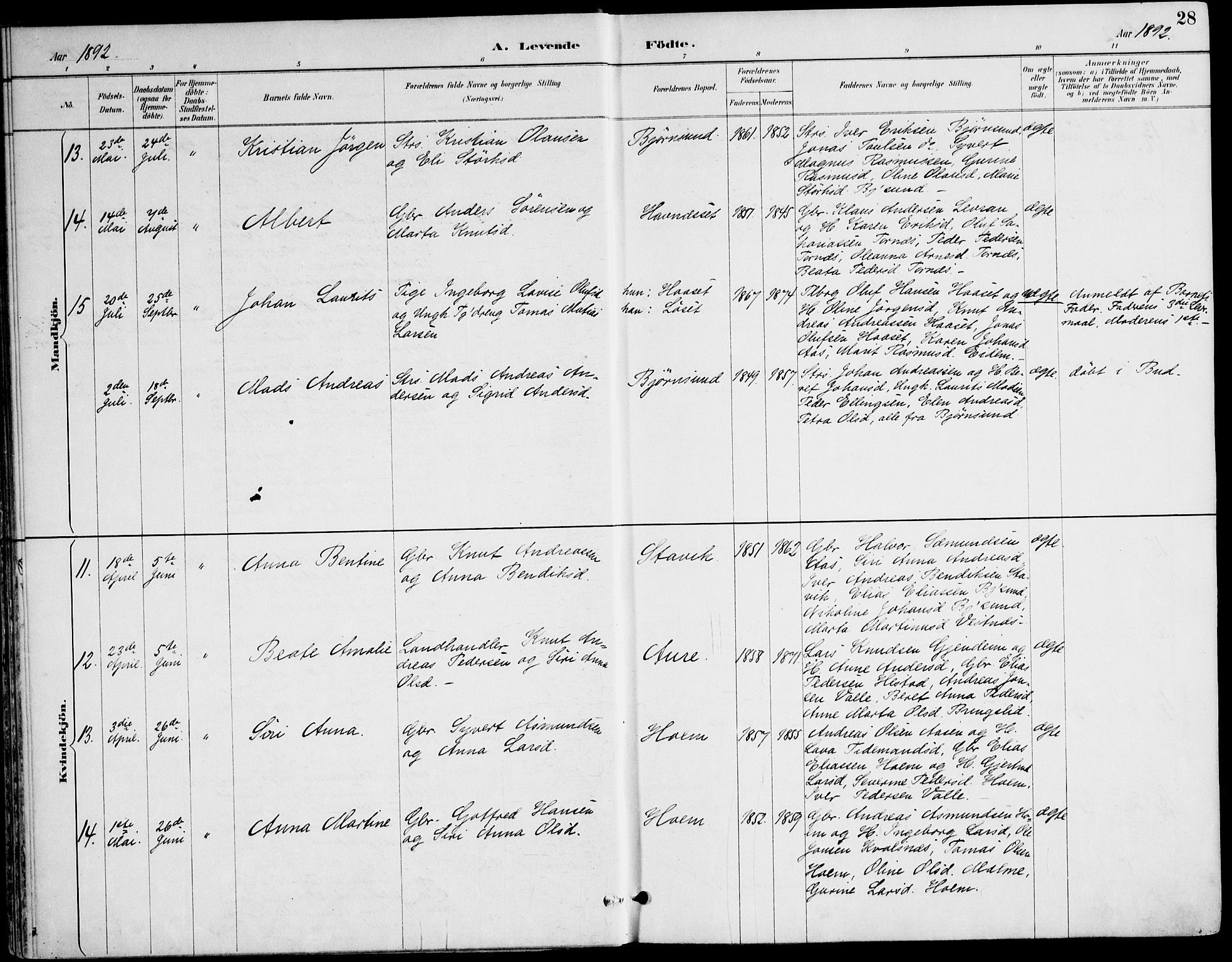 Ministerialprotokoller, klokkerbøker og fødselsregistre - Møre og Romsdal, AV/SAT-A-1454/565/L0750: Parish register (official) no. 565A04, 1887-1905, p. 28