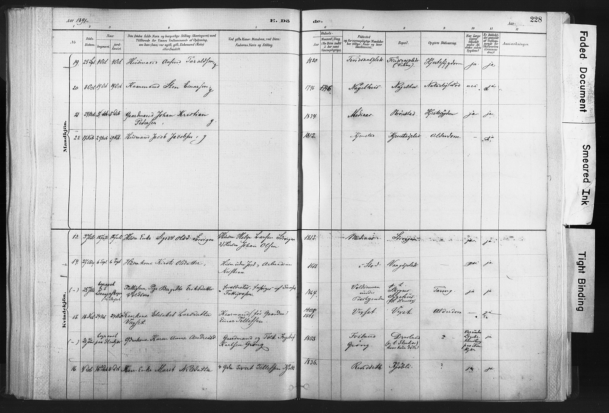 Ministerialprotokoller, klokkerbøker og fødselsregistre - Nord-Trøndelag, SAT/A-1458/749/L0474: Parish register (official) no. 749A08, 1887-1903, p. 228