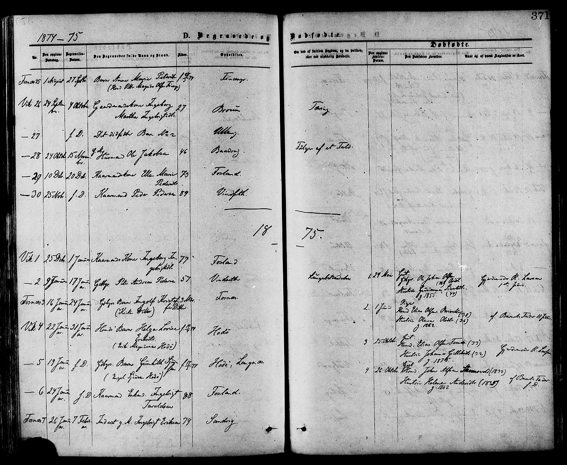 Ministerialprotokoller, klokkerbøker og fødselsregistre - Nord-Trøndelag, SAT/A-1458/773/L0616: Parish register (official) no. 773A07, 1870-1887, p. 371