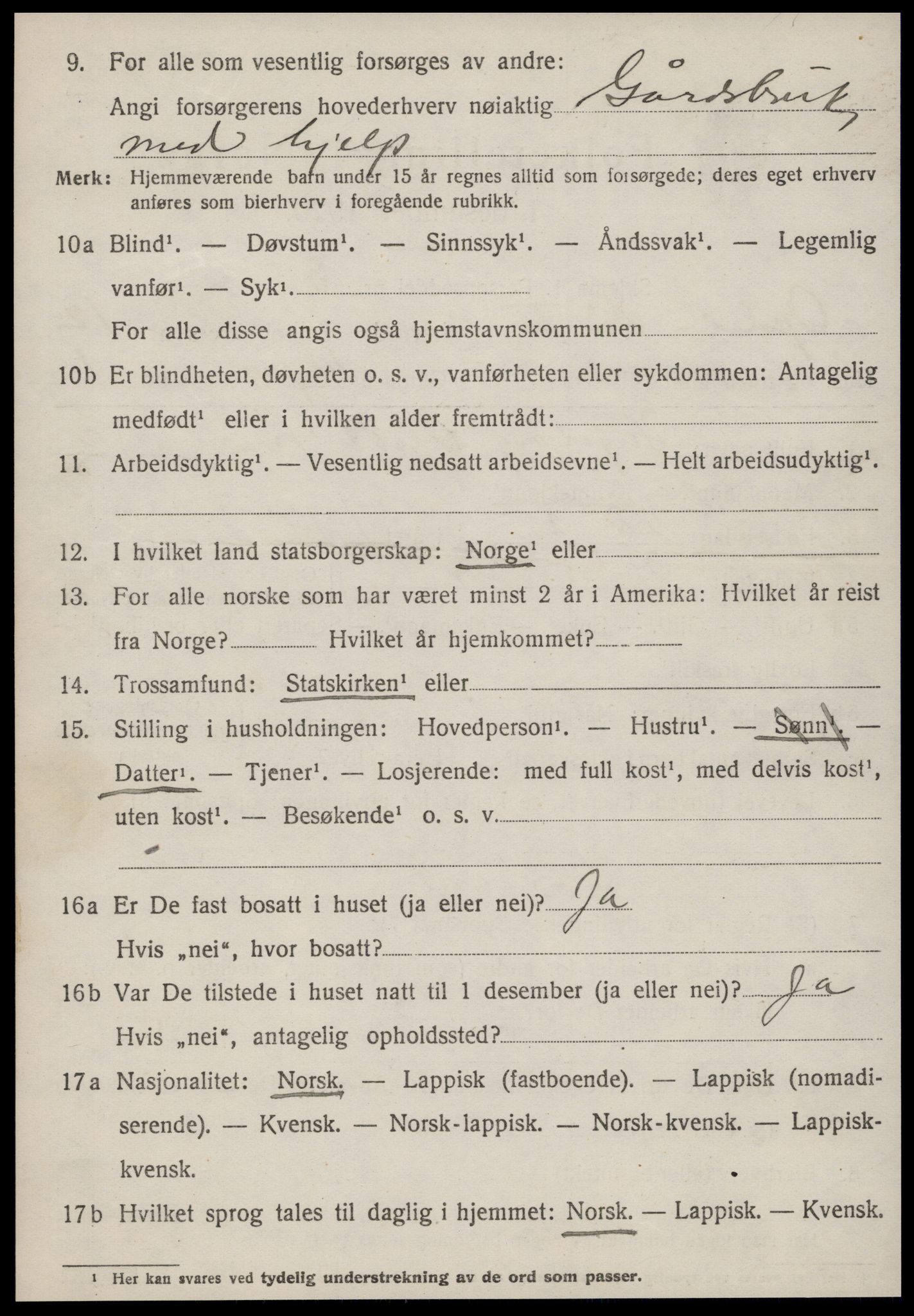 SAT, 1920 census for Oppdal, 1920, p. 10206