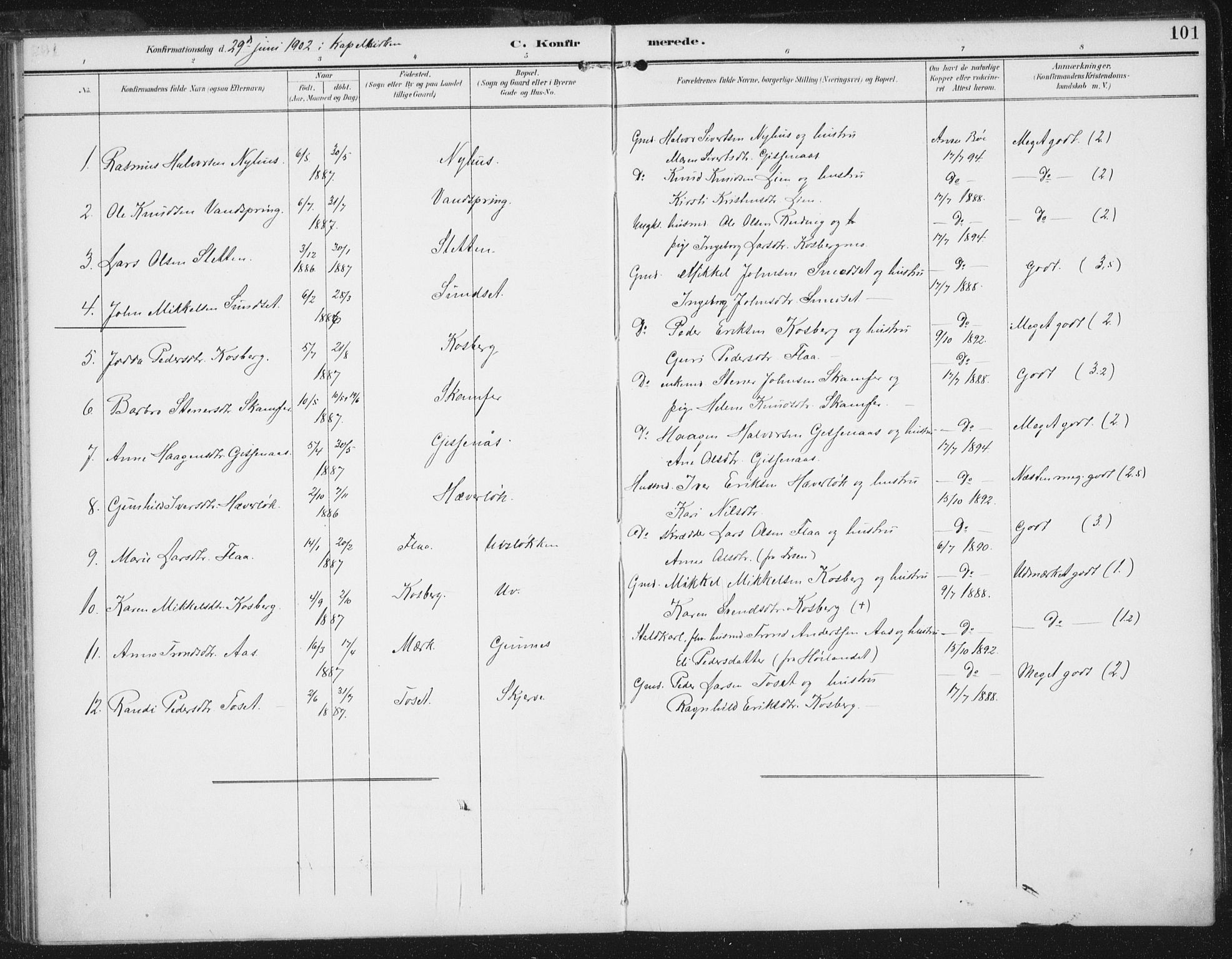 Ministerialprotokoller, klokkerbøker og fødselsregistre - Sør-Trøndelag, SAT/A-1456/674/L0872: Parish register (official) no. 674A04, 1897-1907, p. 101