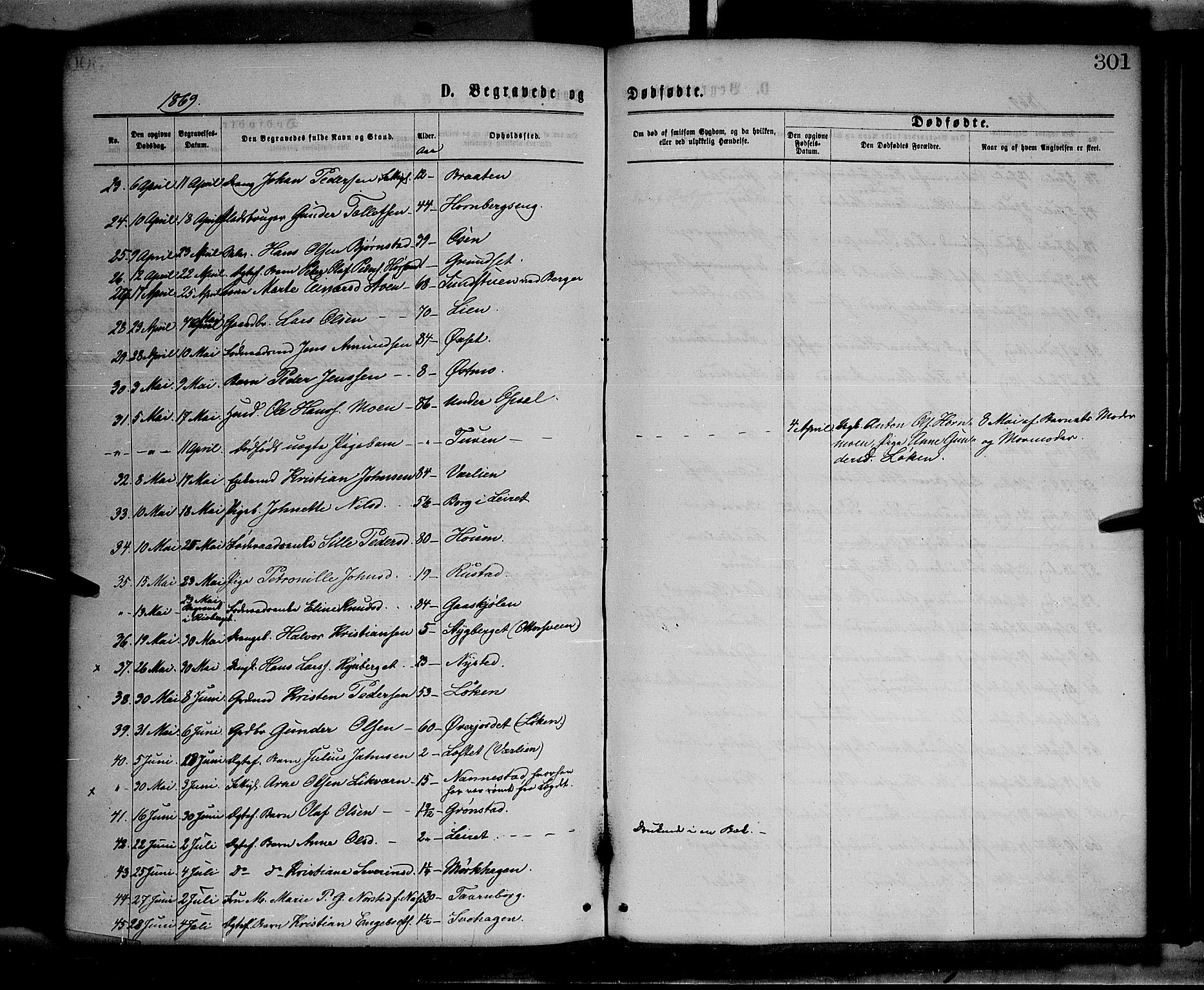 Elverum prestekontor, SAH/PREST-044/H/Ha/Haa/L0011: Parish register (official) no. 11, 1869-1879, p. 301