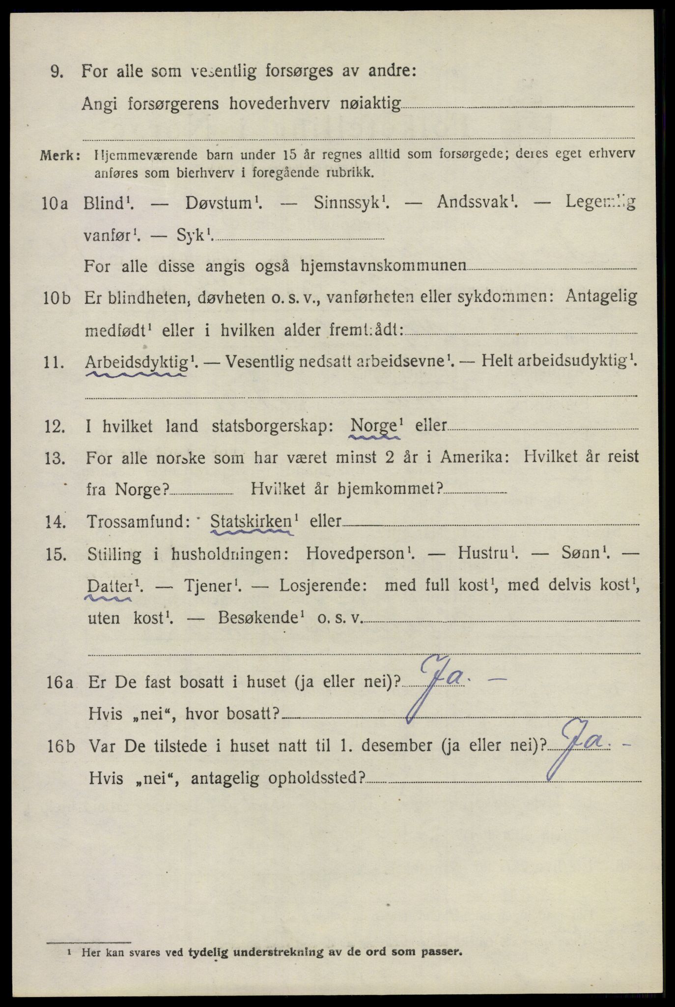 SAO, 1920 census for Nes, 1920, p. 14249