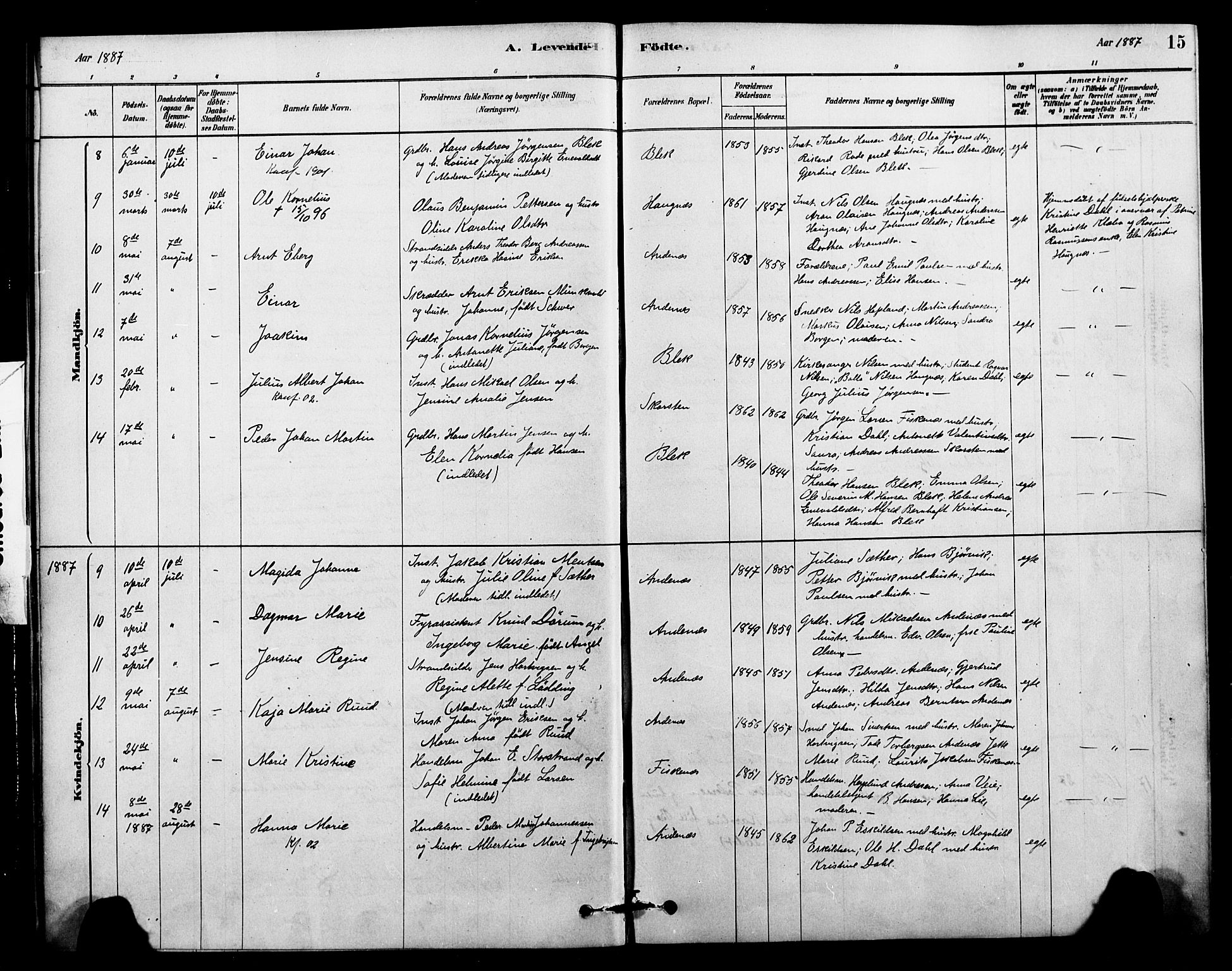 Ministerialprotokoller, klokkerbøker og fødselsregistre - Nordland, AV/SAT-A-1459/899/L1436: Parish register (official) no. 899A04, 1881-1896, p. 15