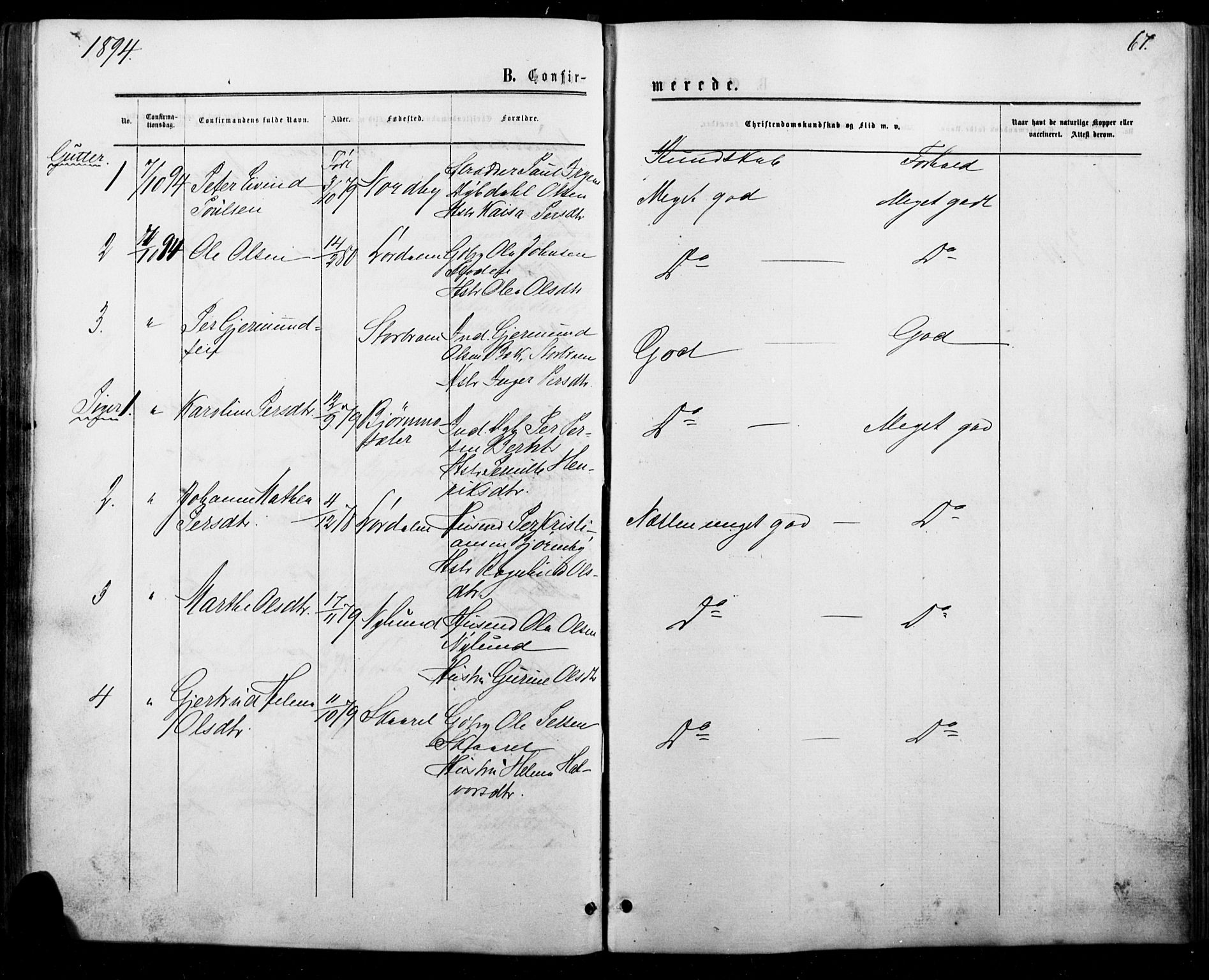 Trysil prestekontor, AV/SAH-PREST-046/H/Ha/Haa/L0010: Parish register (official) no. 10, 1872-1895, p. 67