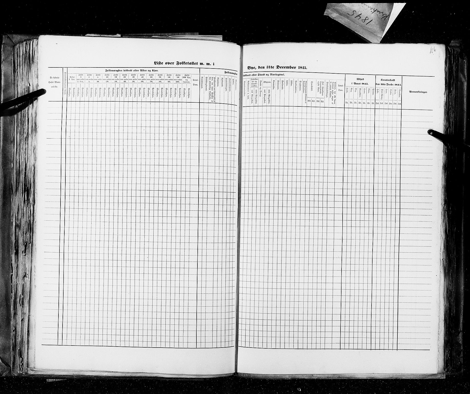 RA, Census 1845, vol. 10: Cities, 1845, p. 106