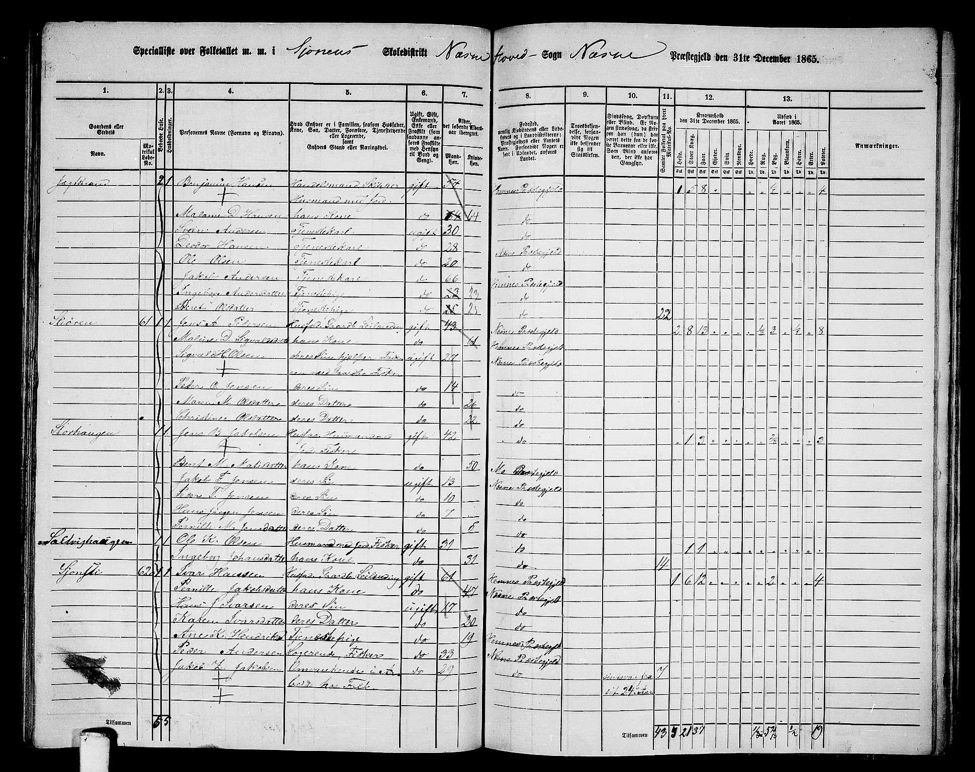 RA, 1865 census for Nesna, 1865, p. 119