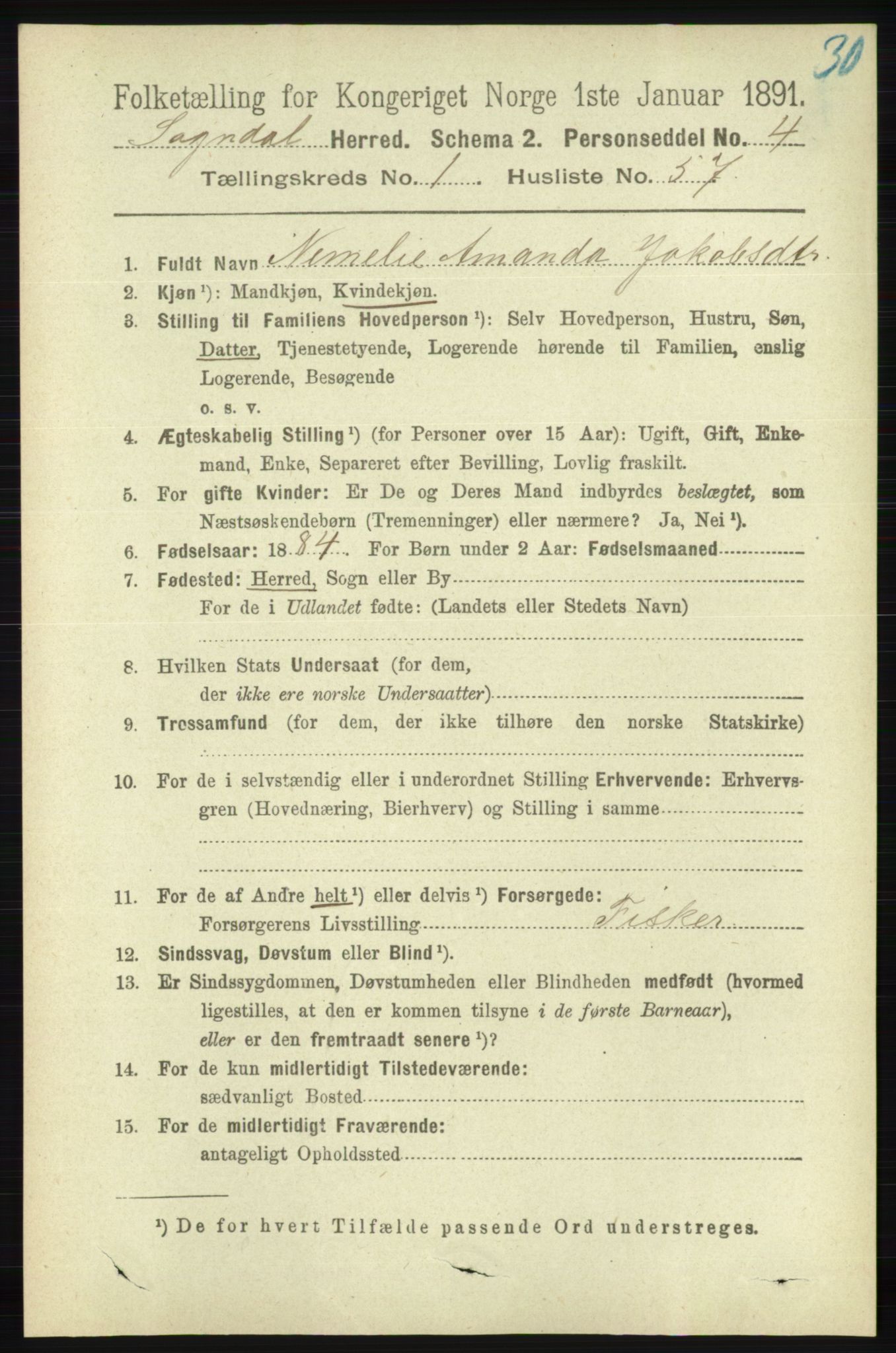 RA, 1891 census for 1111 Sokndal, 1891, p. 418