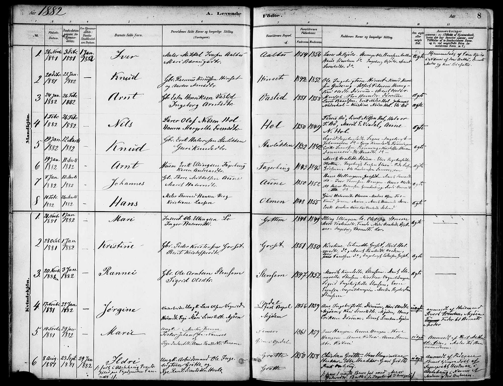 Ministerialprotokoller, klokkerbøker og fødselsregistre - Sør-Trøndelag, SAT/A-1456/678/L0901: Parish register (official) no. 678A10, 1881-1894, p. 8