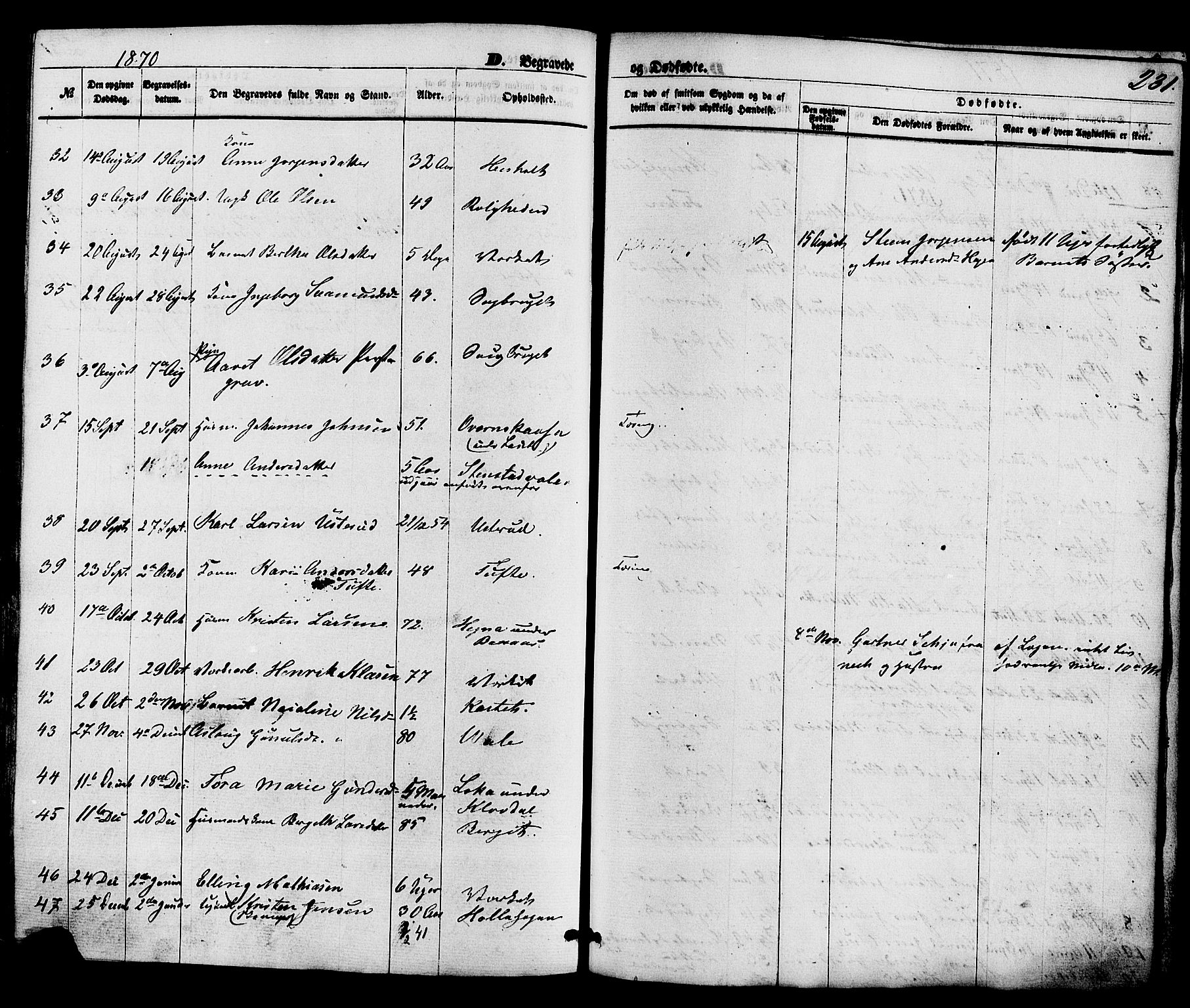 Holla kirkebøker, SAKO/A-272/F/Fa/L0007: Parish register (official) no. 7, 1869-1881, p. 231