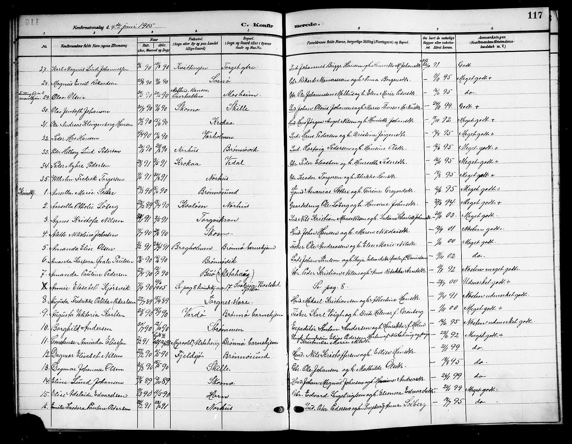 Ministerialprotokoller, klokkerbøker og fødselsregistre - Nordland, SAT/A-1459/813/L0214: Parish register (copy) no. 813C06, 1904-1917, p. 117