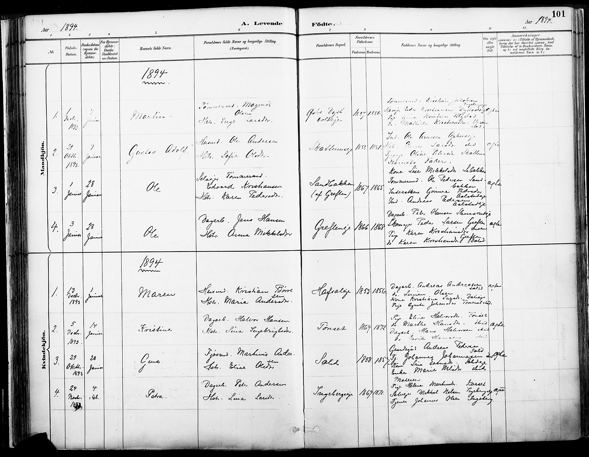 Vang prestekontor, Hedmark, AV/SAH-PREST-008/H/Ha/Haa/L0019A: Parish register (official) no. 19, 1886-1900, p. 101