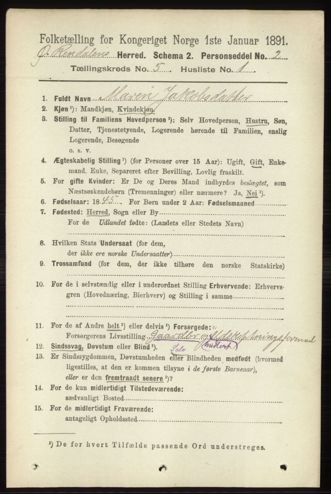 RA, 1891 census for 0433 Øvre Rendal, 1891, p. 1309