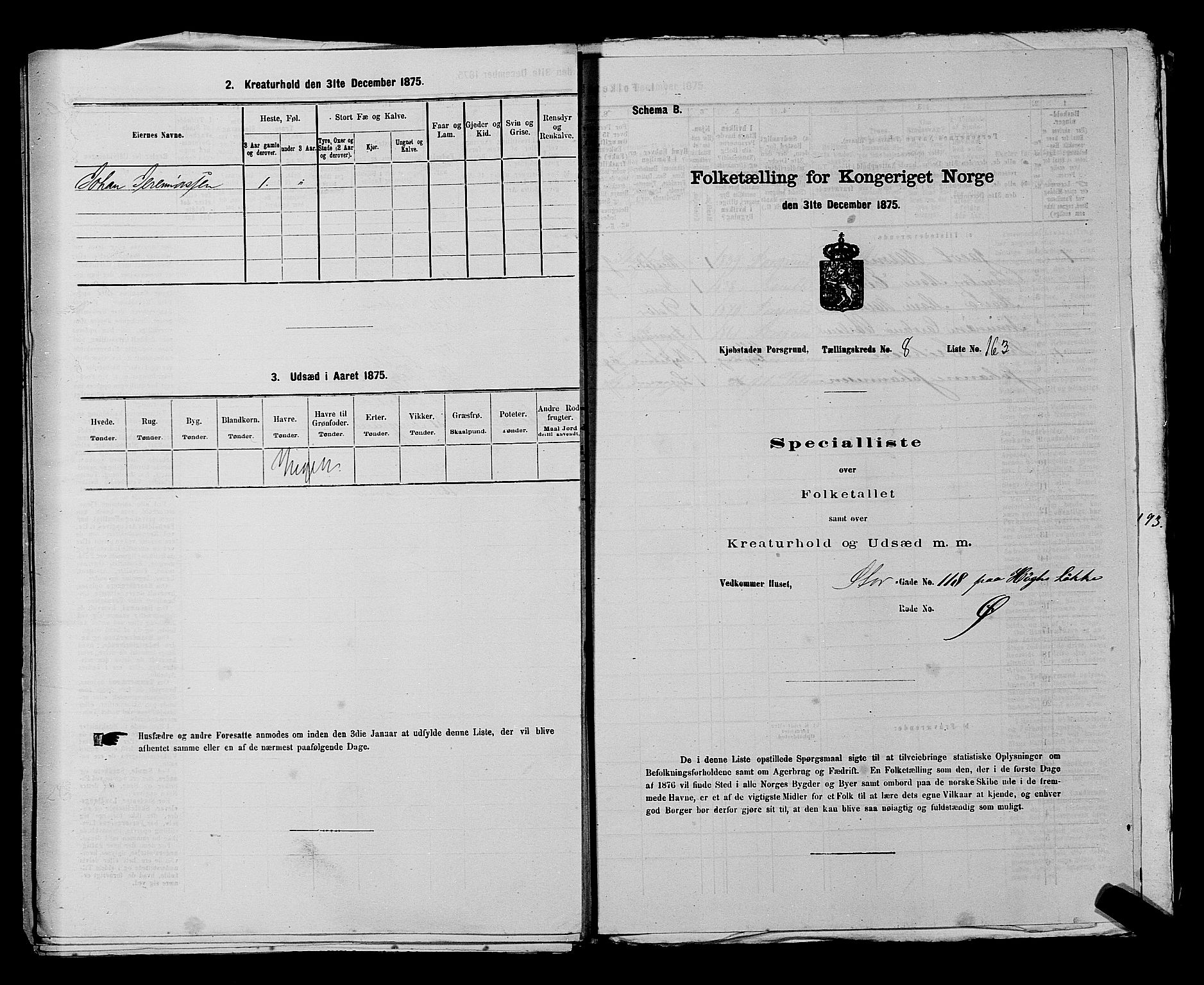 SAKO, 1875 census for 0805P Porsgrunn, 1875, p. 385