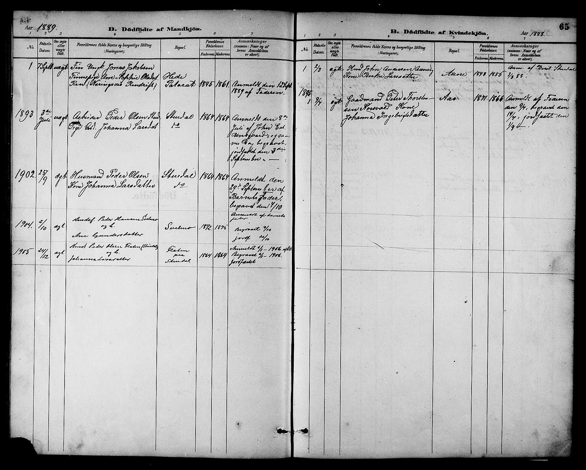 Ministerialprotokoller, klokkerbøker og fødselsregistre - Sør-Trøndelag, SAT/A-1456/698/L1167: Parish register (copy) no. 698C04, 1888-1907, p. 65