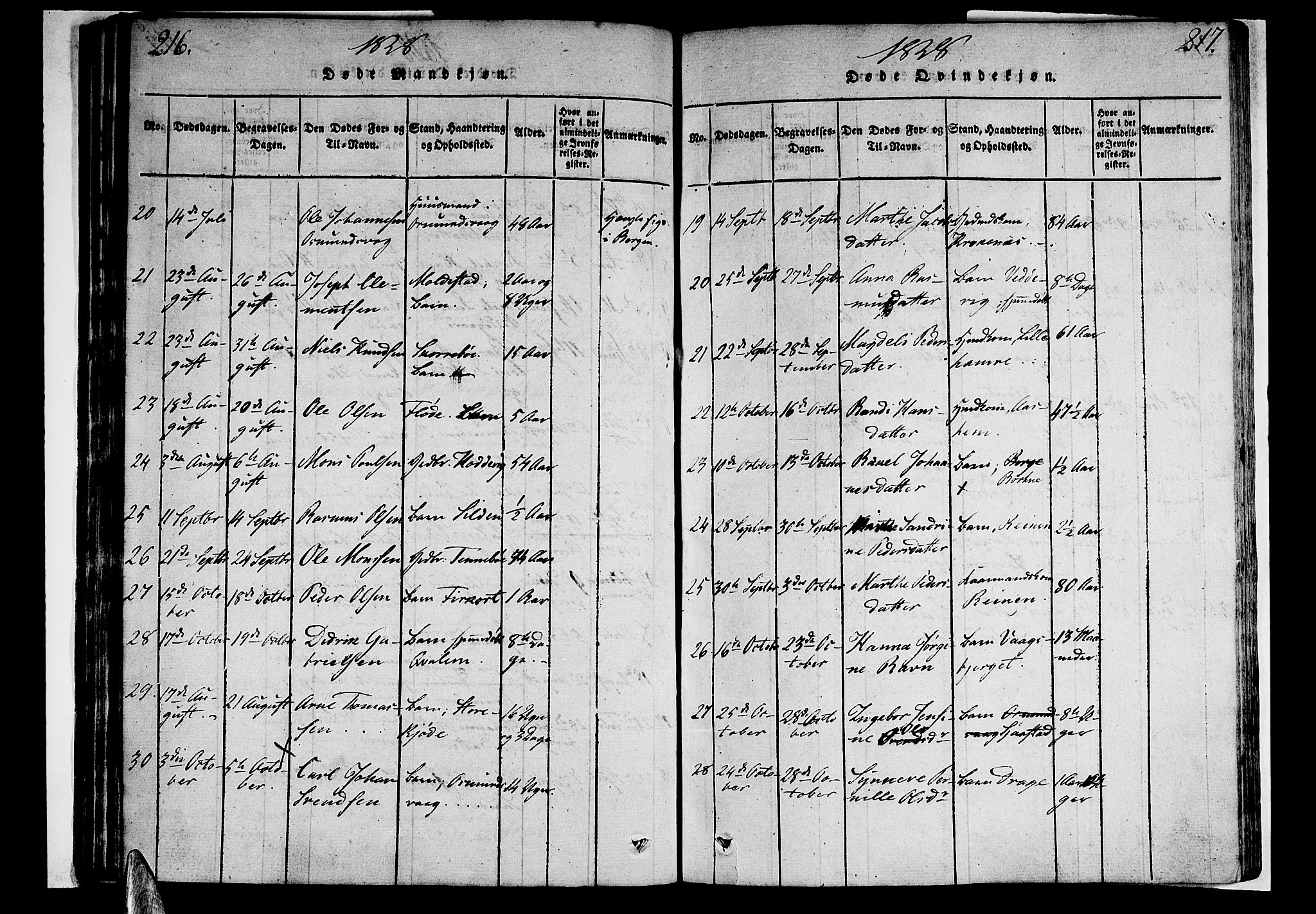 Selje sokneprestembete, AV/SAB-A-99938/H/Ha/Haa/Haaa: Parish register (official) no. A 8, 1816-1828, p. 216-217