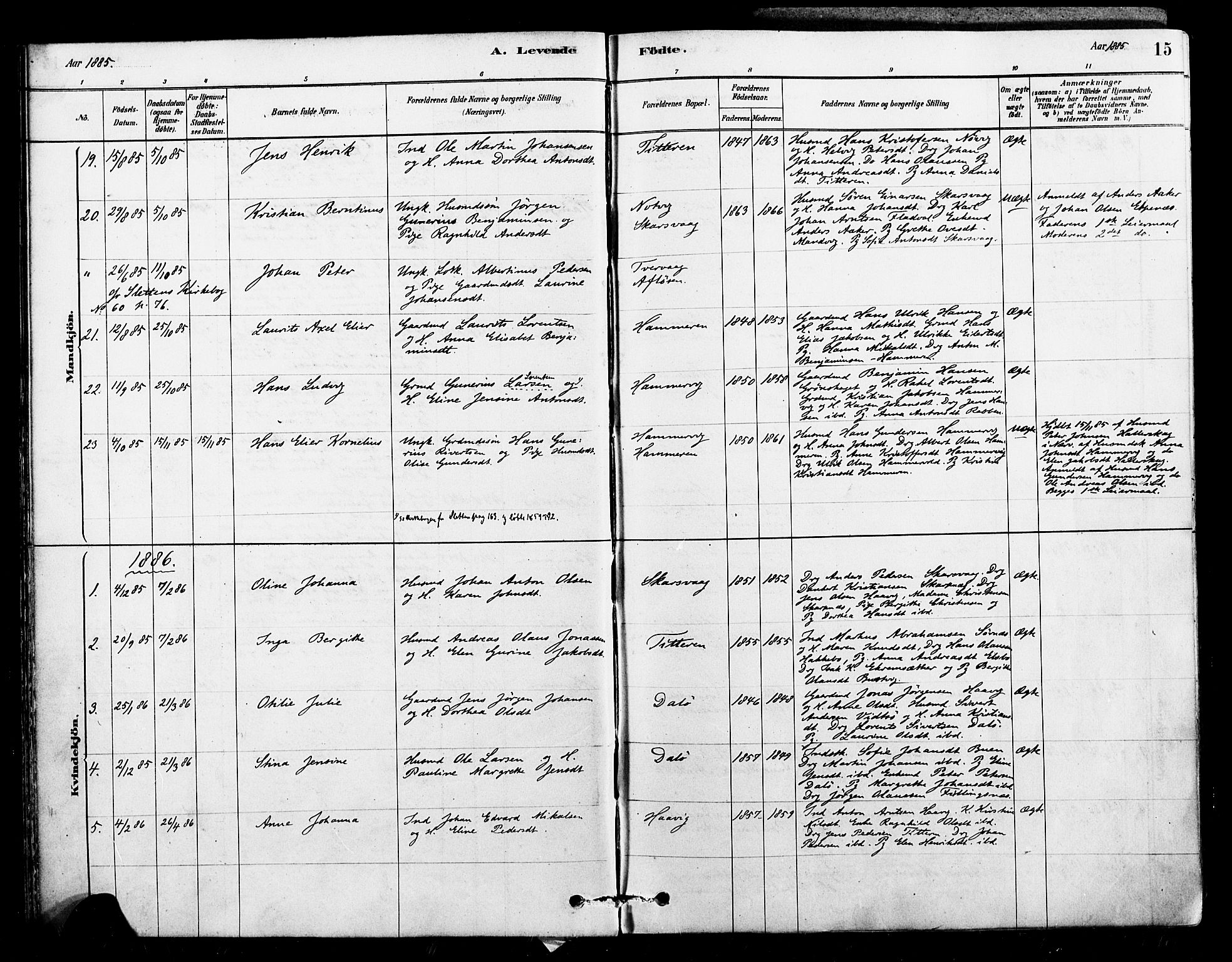 Ministerialprotokoller, klokkerbøker og fødselsregistre - Sør-Trøndelag, SAT/A-1456/641/L0595: Parish register (official) no. 641A01, 1882-1897, p. 15
