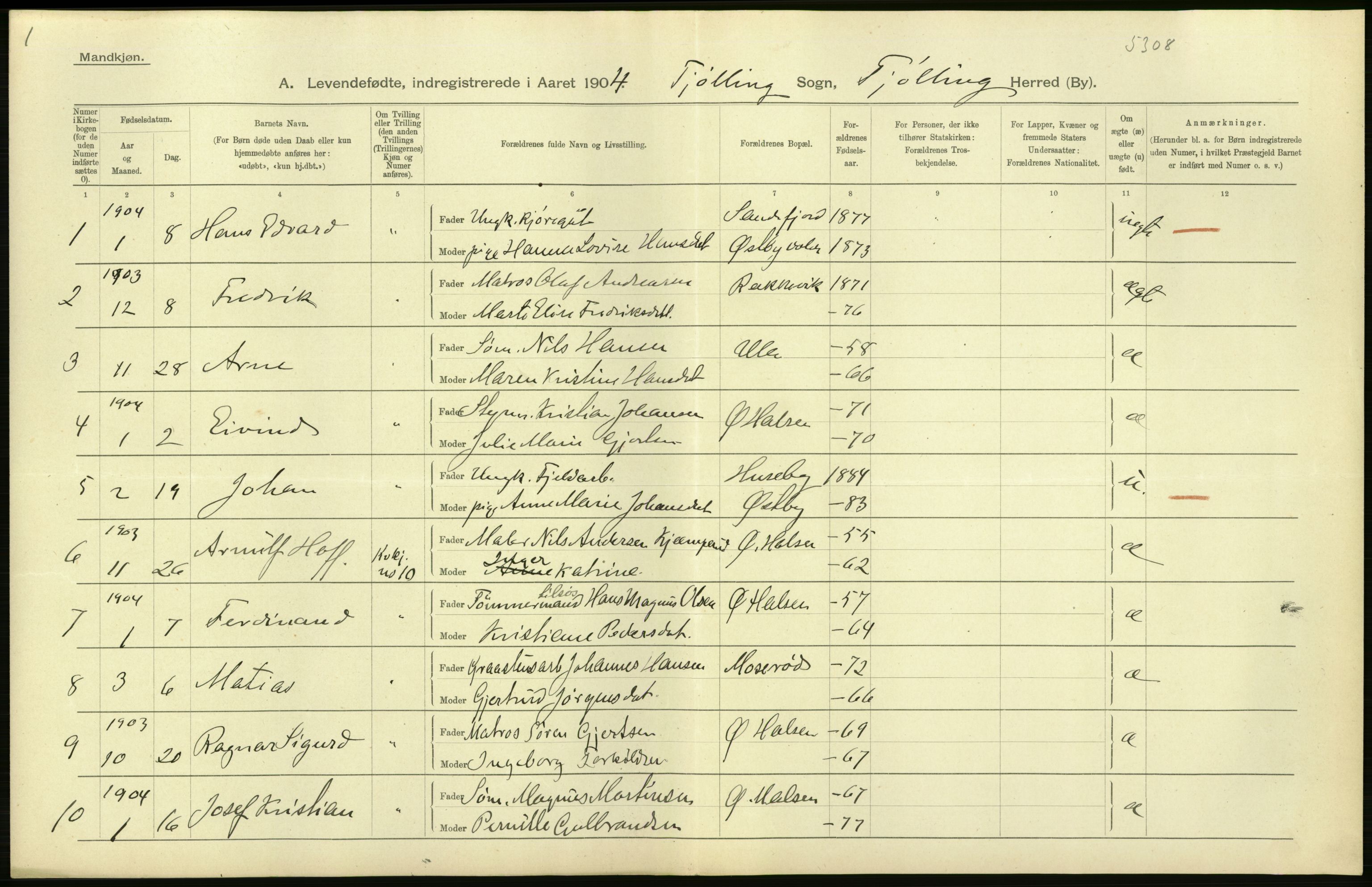 Statistisk sentralbyrå, Sosiodemografiske emner, Befolkning, AV/RA-S-2228/D/Df/Dfa/Dfab/L0008: Jarlsberg og Larvig amt: Fødte, gifte, døde, 1904, p. 76