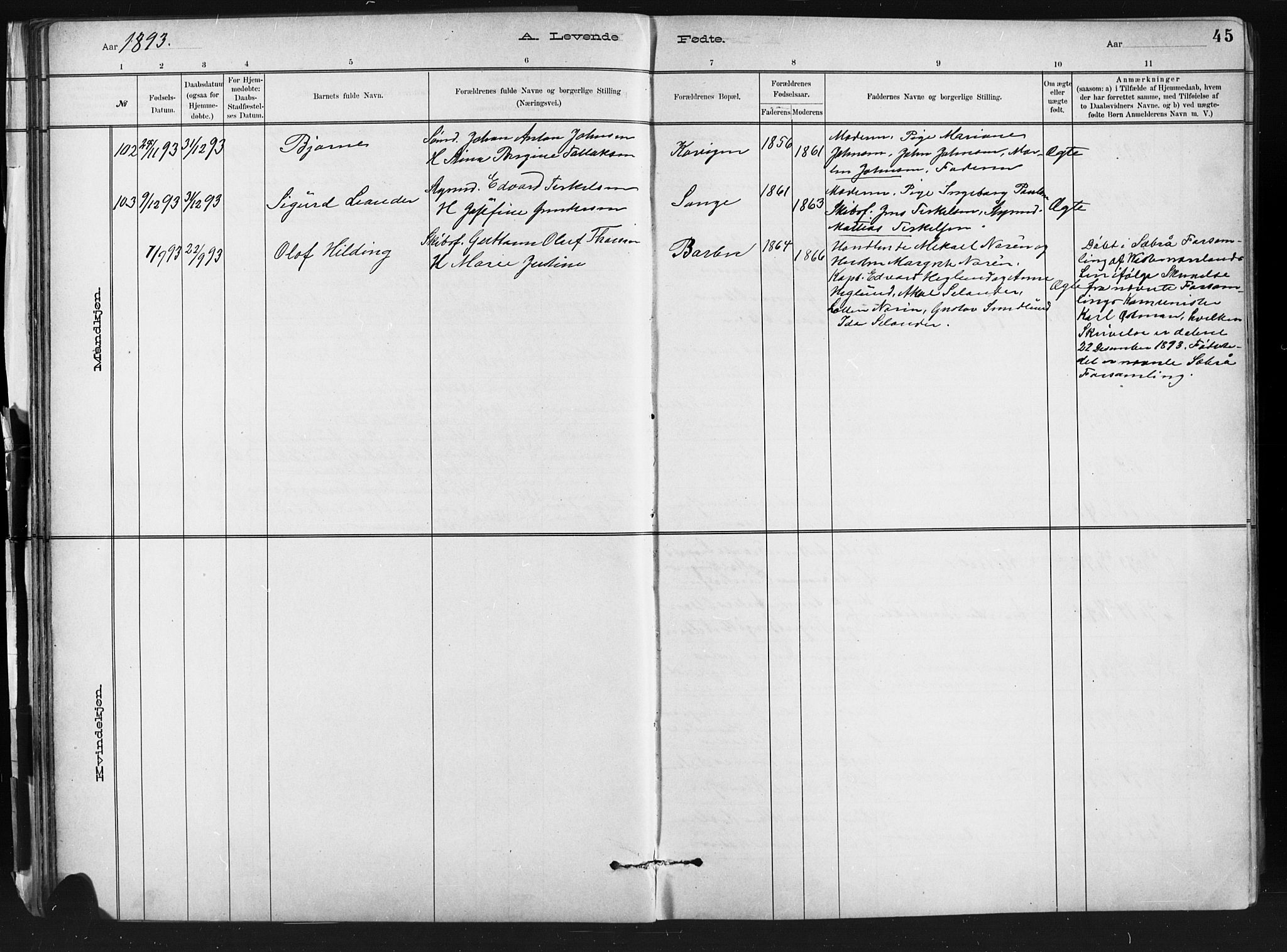 Barbu sokneprestkontor, SAK/1111-0003/F/Fb/L0002: Parish register (copy) no. B 2, 1890-1922, p. 45