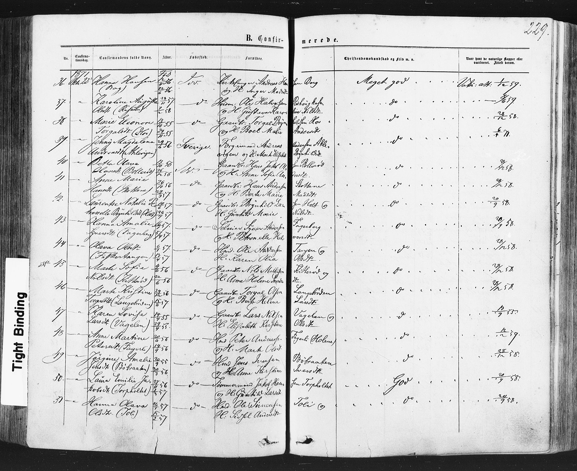 Idd prestekontor Kirkebøker, AV/SAO-A-10911/F/Fc/L0005: Parish register (official) no. III 5, 1861-1877, p. 229