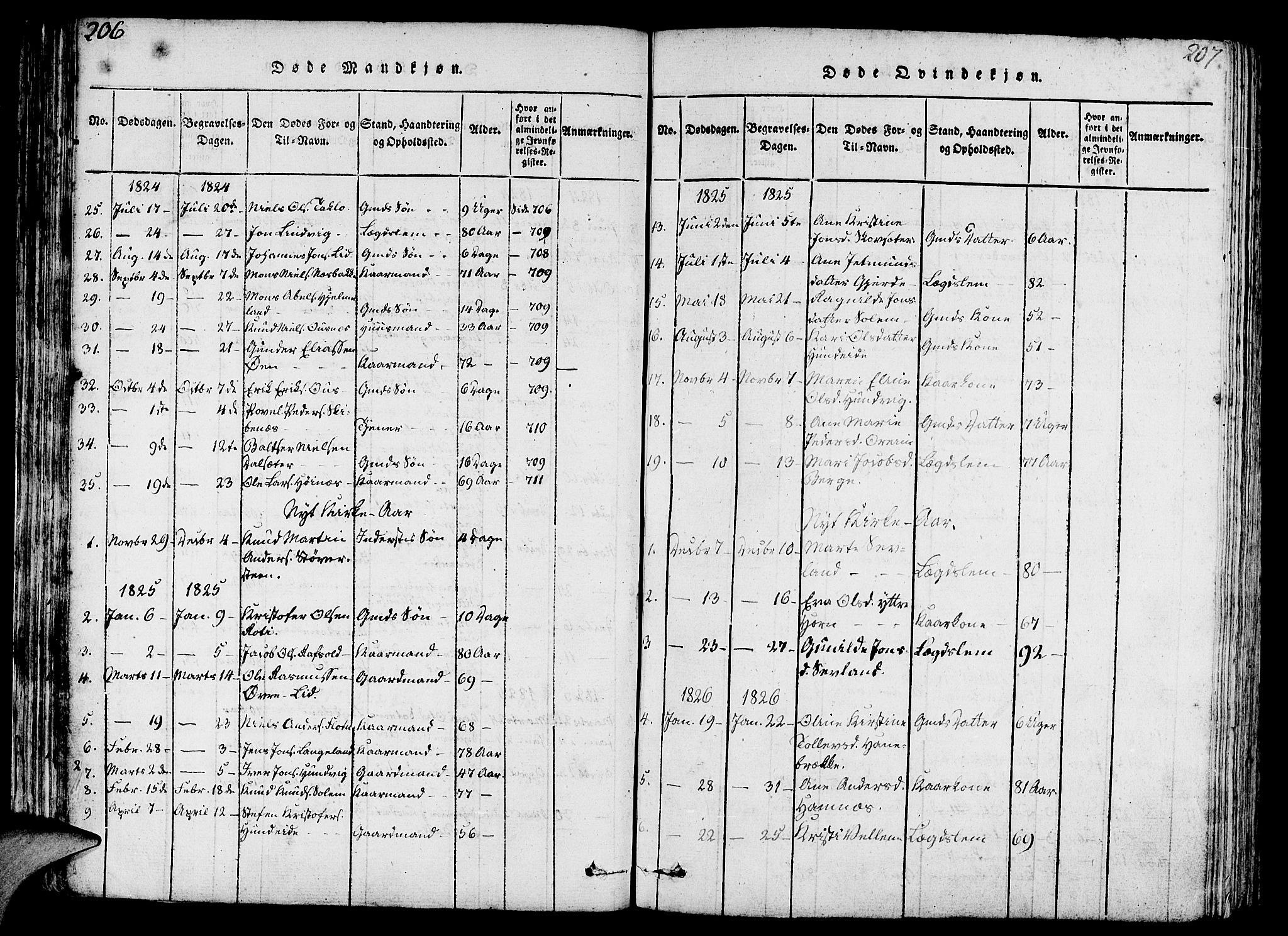 Eid sokneprestembete, AV/SAB-A-82301/H/Haa/Haaa/L0005: Parish register (official) no. A 5, 1816-1830, p. 206-207