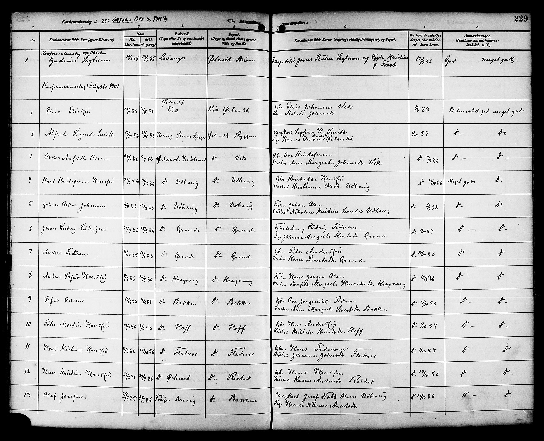Ministerialprotokoller, klokkerbøker og fødselsregistre - Sør-Trøndelag, SAT/A-1456/659/L0746: Parish register (copy) no. 659C03, 1893-1912, p. 229