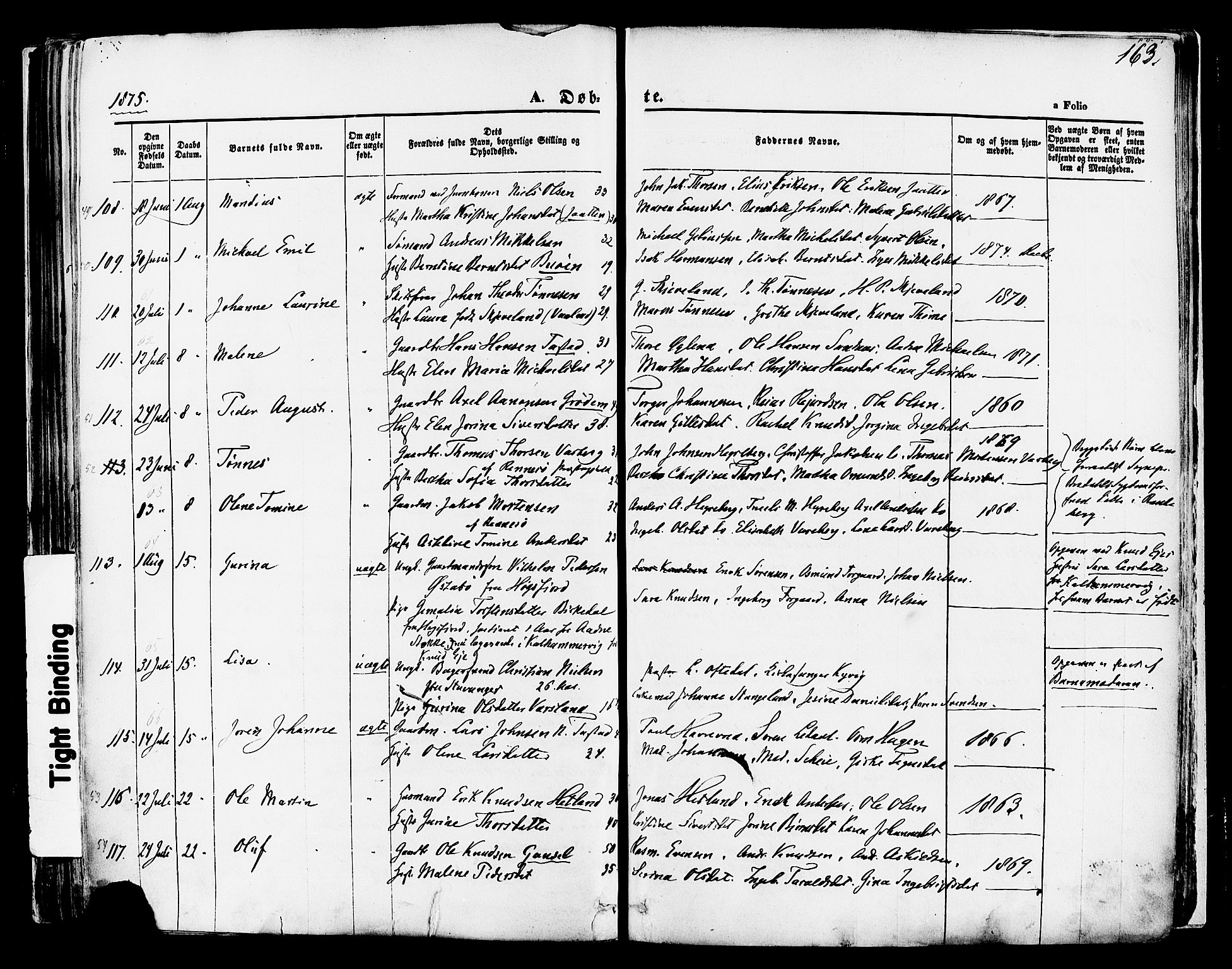 Hetland sokneprestkontor, SAST/A-101826/30/30BA/L0003: Parish register (official) no. A 3, 1862-1876, p. 163