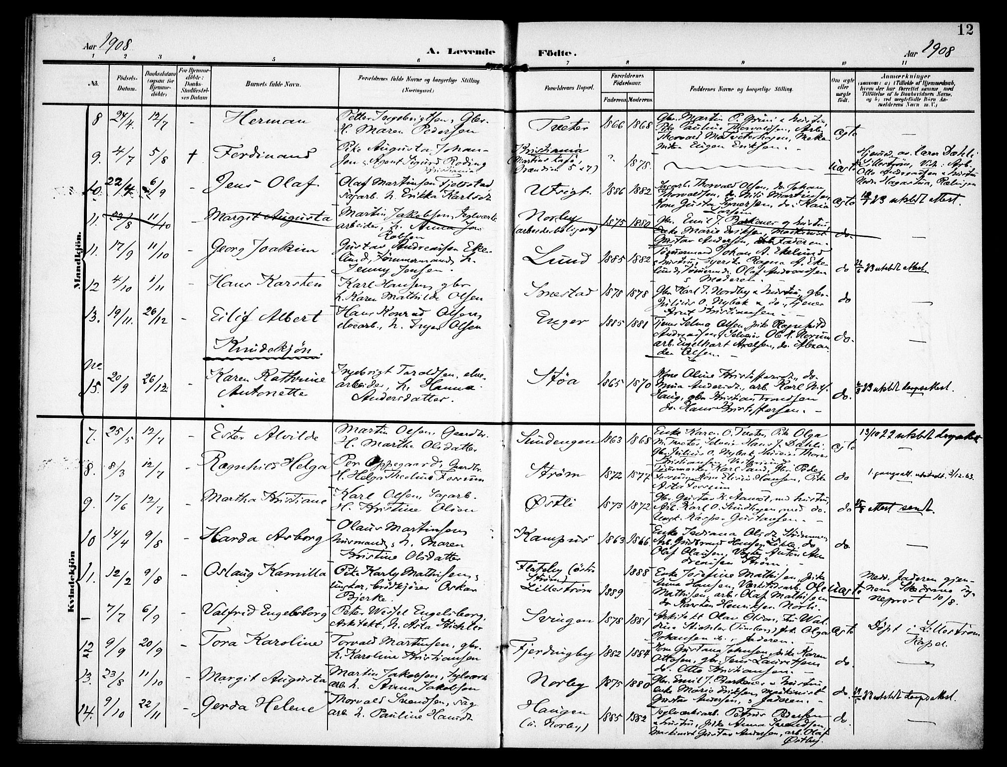 Fet prestekontor Kirkebøker, AV/SAO-A-10370a/F/Fb/L0003: Parish register (official) no. II 3, 1905-1914, p. 12