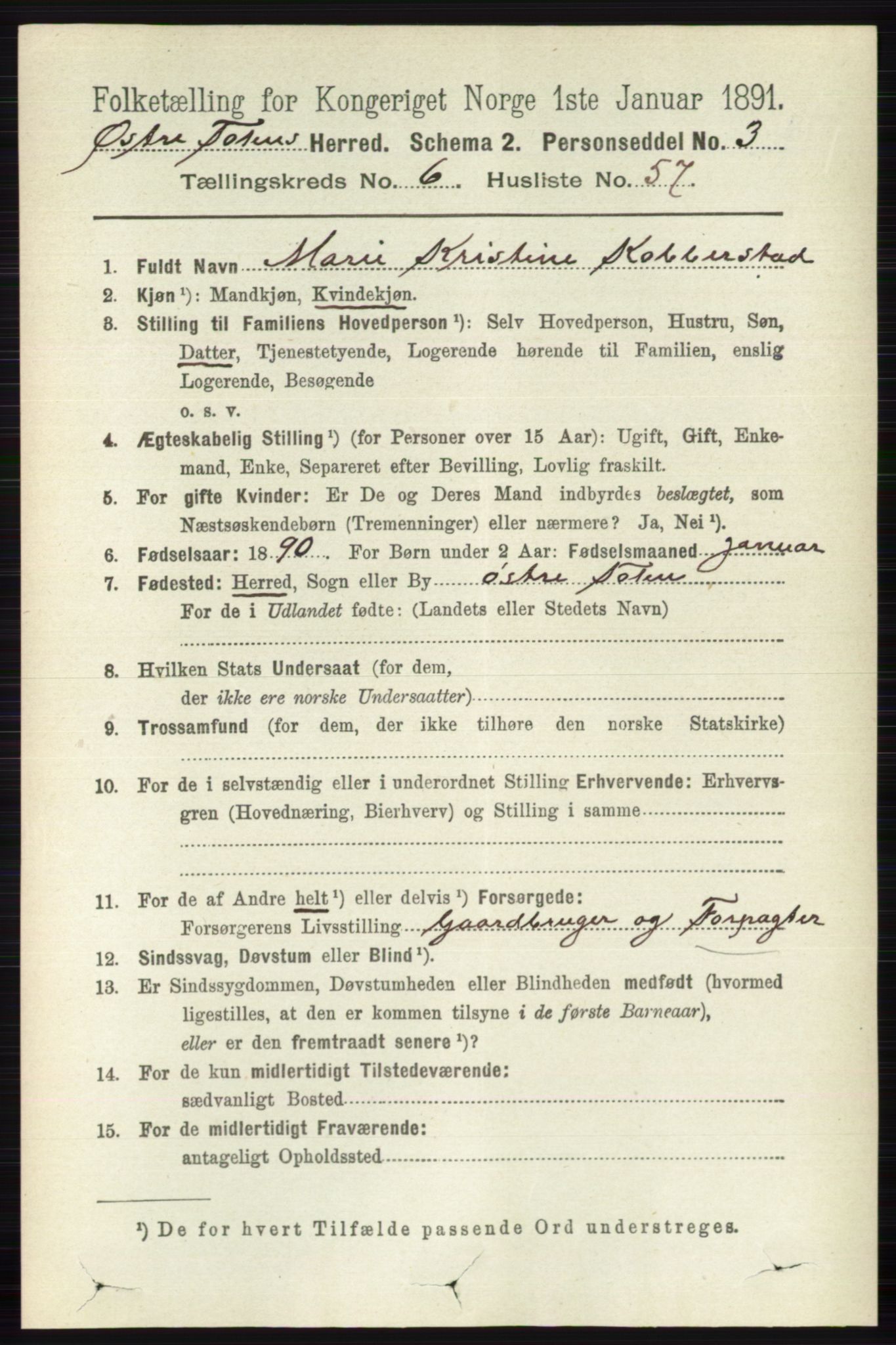 RA, 1891 census for 0528 Østre Toten, 1891, p. 4126