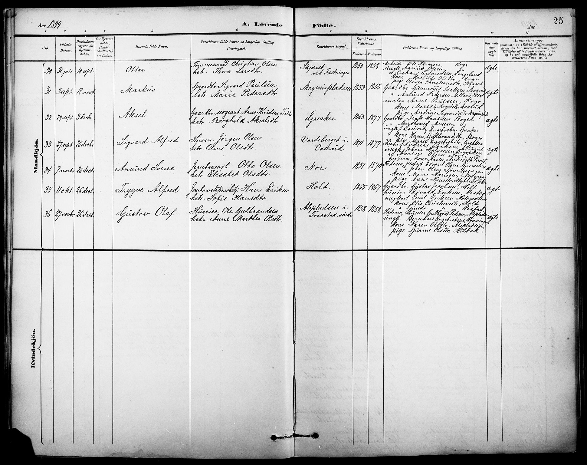 Vinger prestekontor, AV/SAH-PREST-024/H/Ha/Hab/L0003: Parish register (copy) no. 3, 1895-1920, p. 25