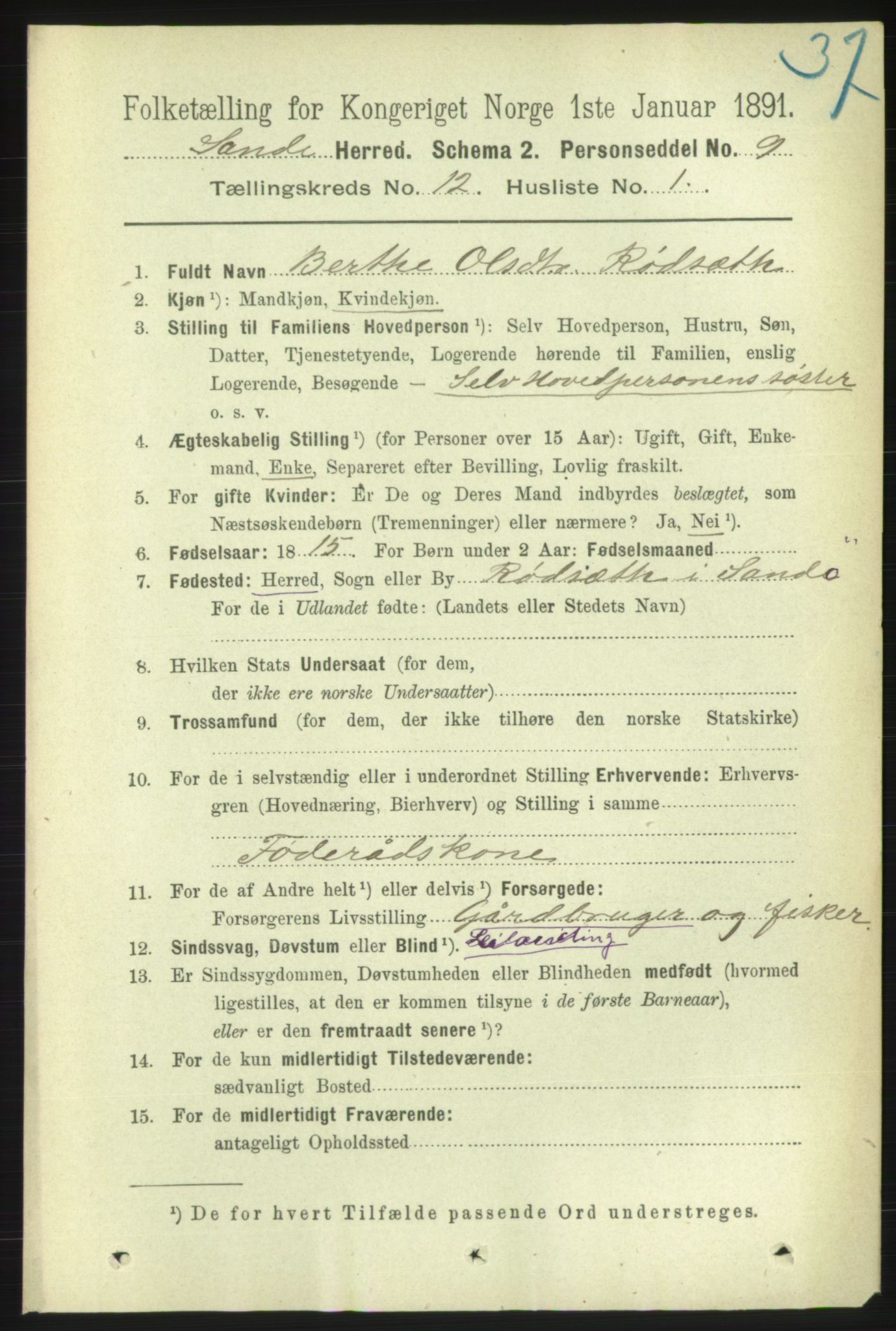 RA, 1891 census for 1514 Sande, 1891, p. 2247