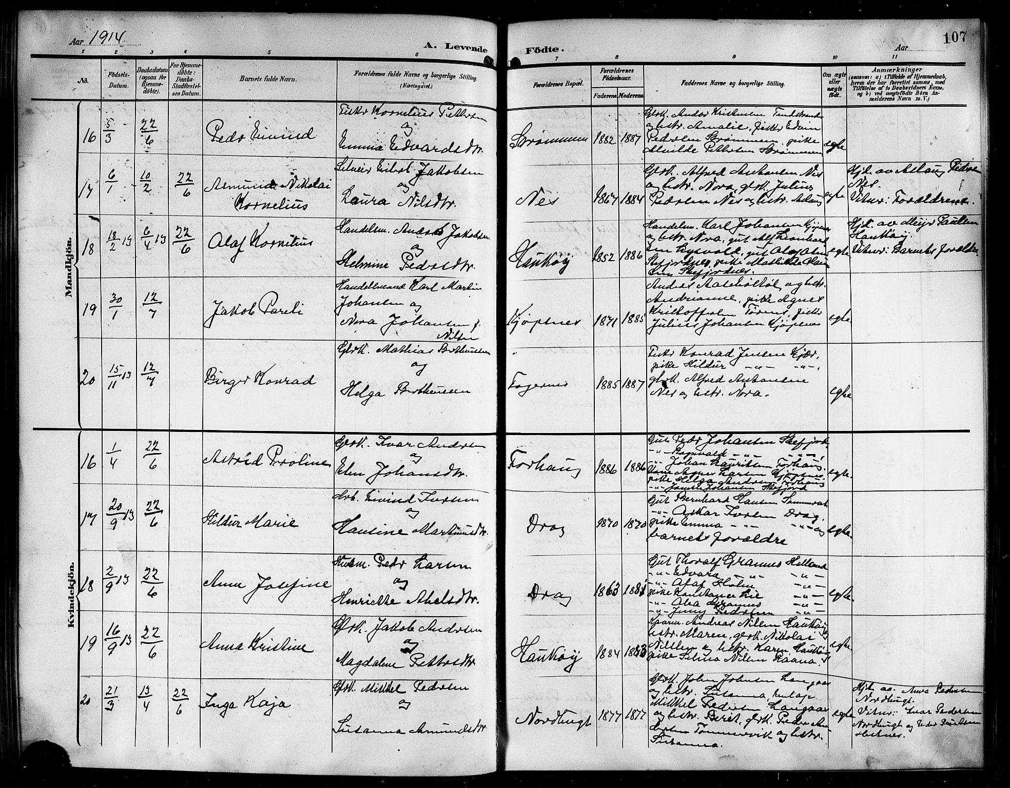 Ministerialprotokoller, klokkerbøker og fødselsregistre - Nordland, AV/SAT-A-1459/861/L0877: Parish register (copy) no. 861C03, 1903-1919, p. 107
